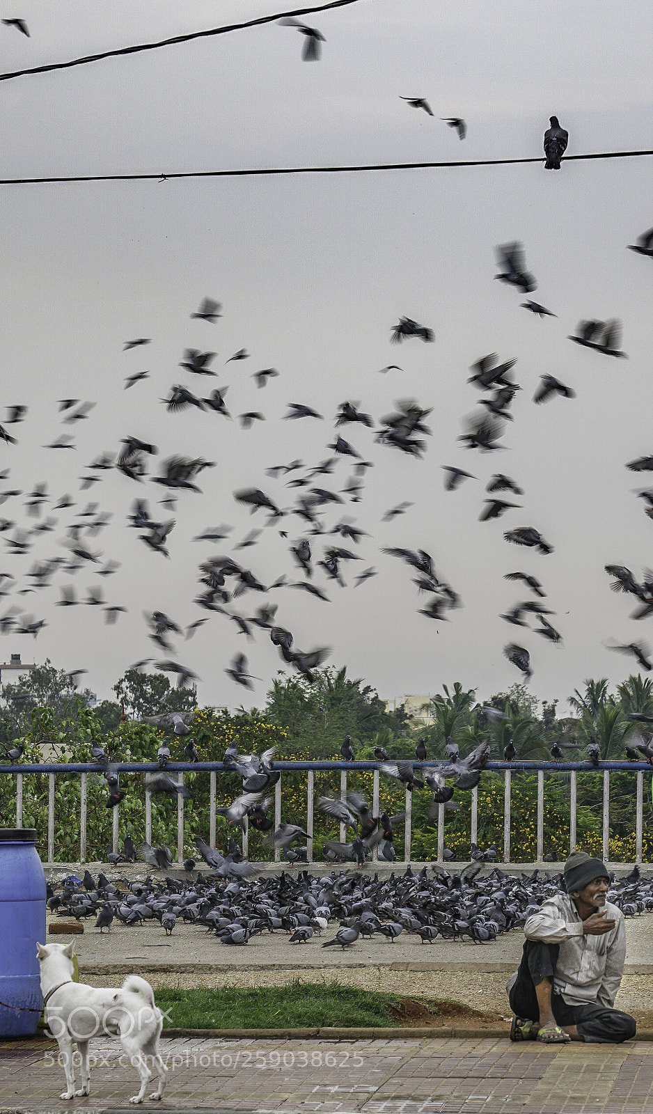 Sony a7R II sample photo. Cross roads photography