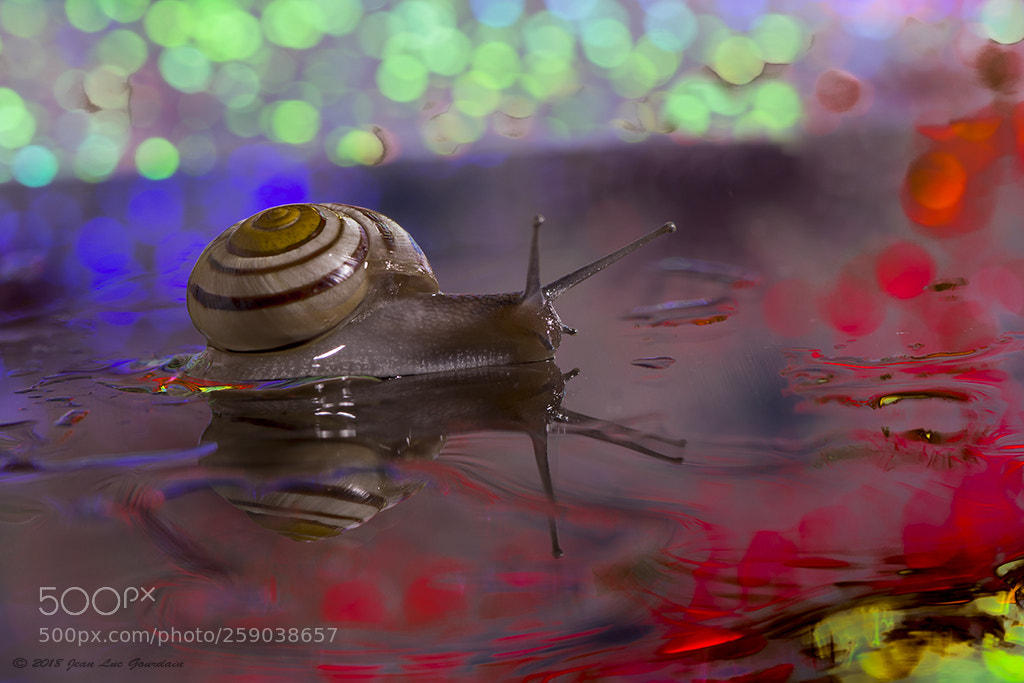 Nikon D7200 sample photo. Psychedelic 2 photography