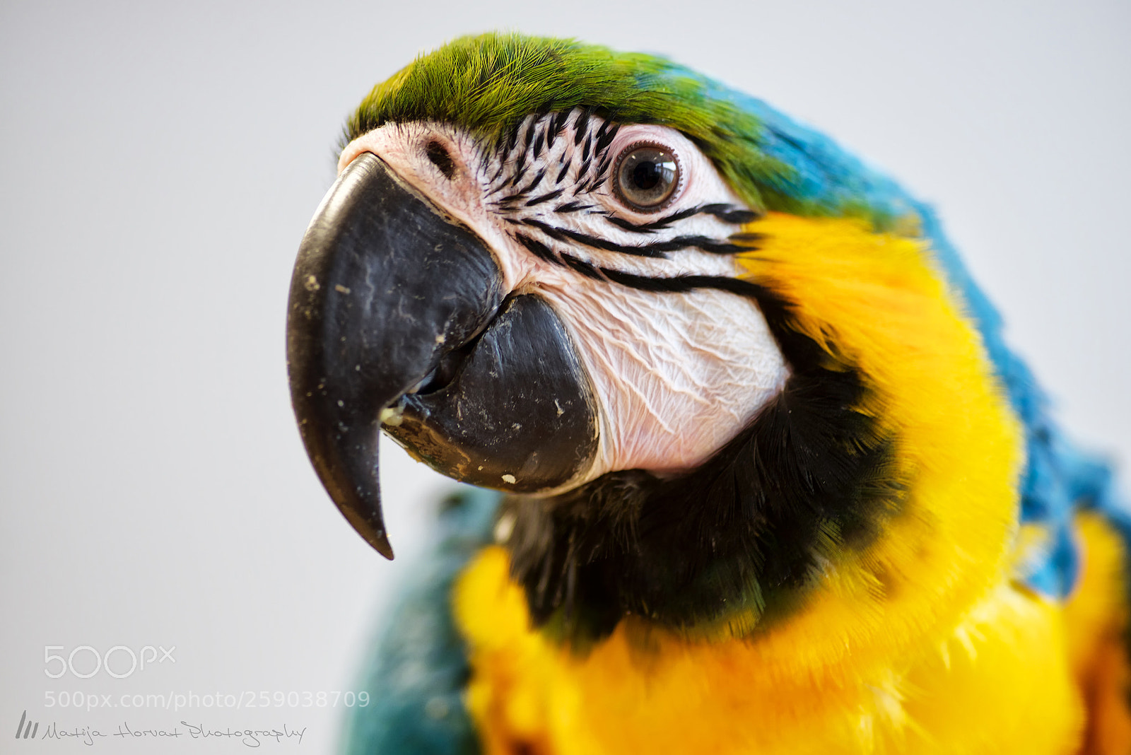 Nikon D610 sample photo. Hello photography