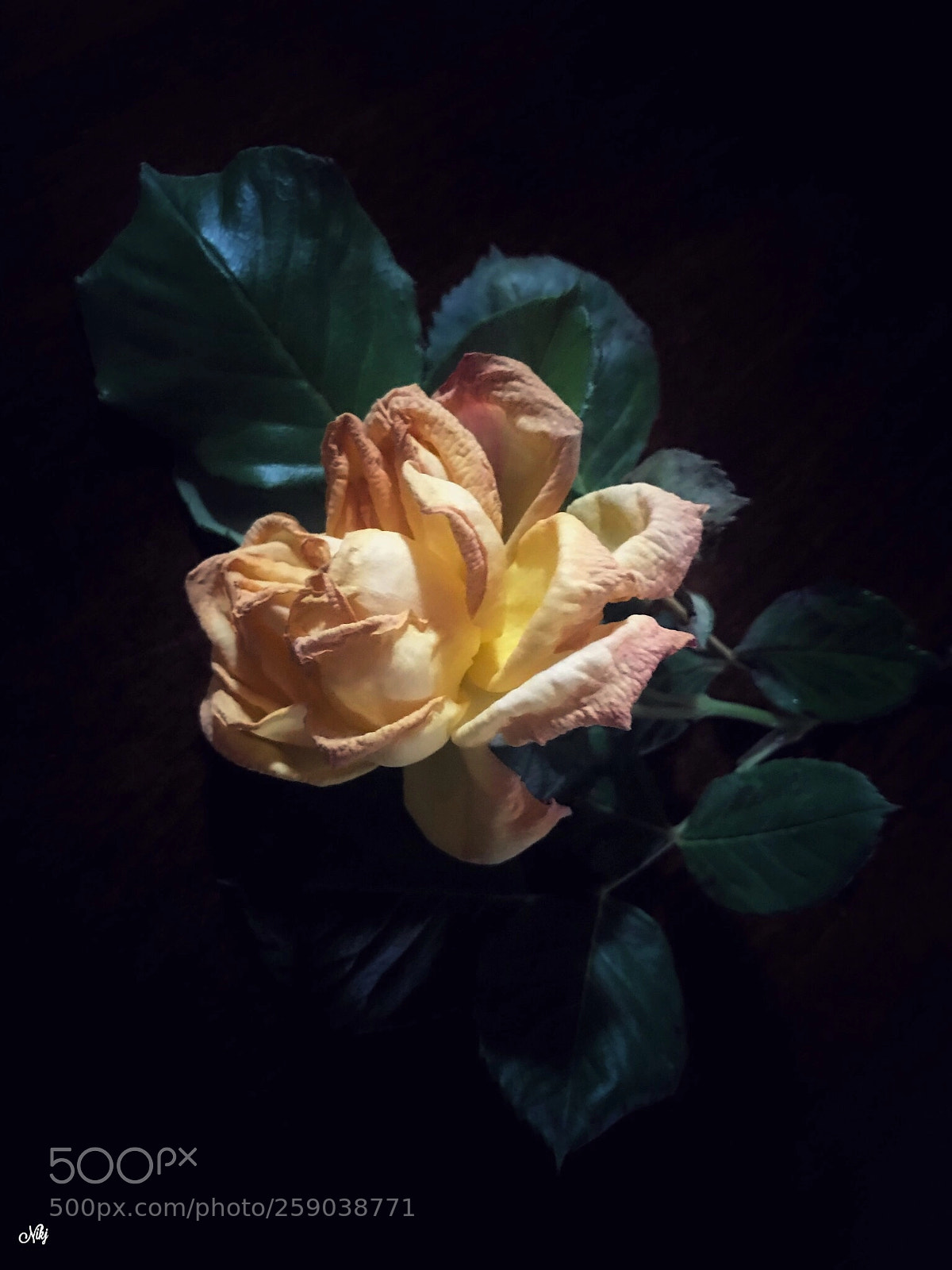 Apple iPhone 7 Plus sample photo. Il tempo passa senza photography
