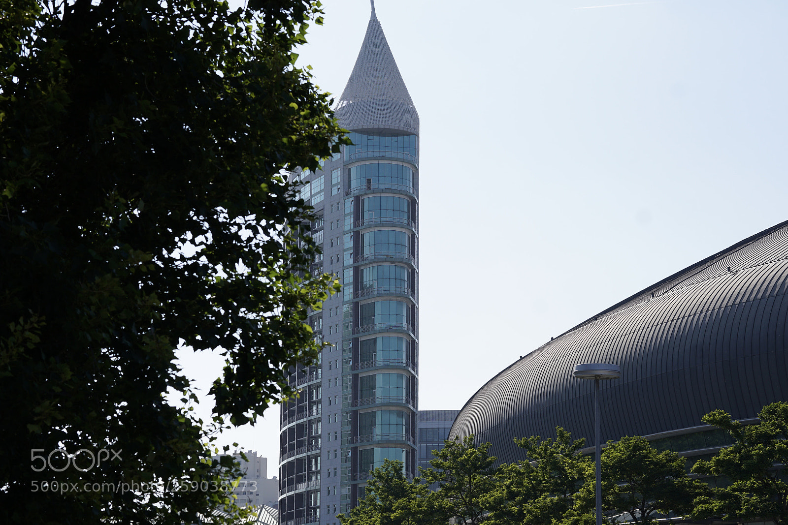 Sony a6000 sample photo. The big and the photography