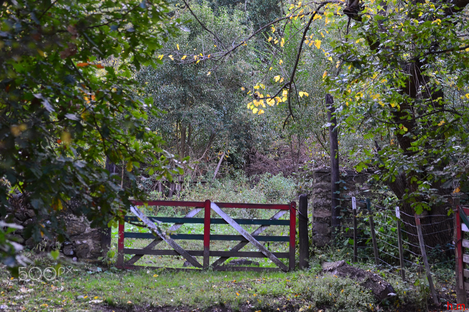 Nikon D3100 sample photo. Bbaco () photography