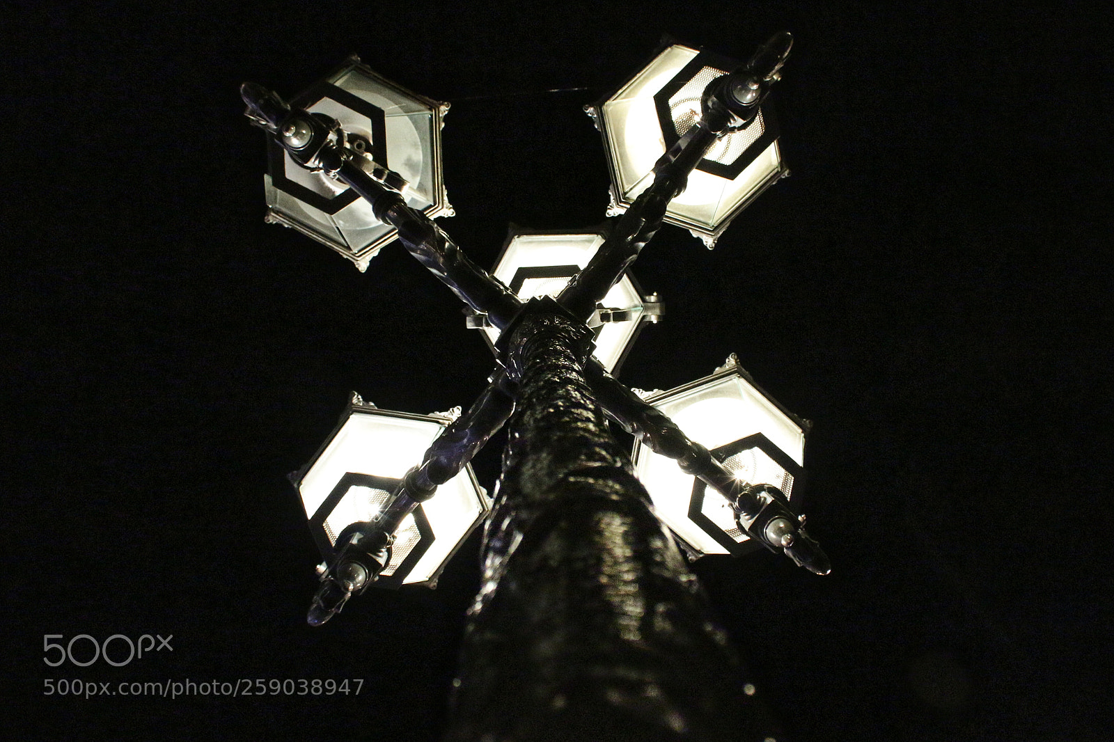 Canon EOS 650D (EOS Rebel T4i / EOS Kiss X6i) sample photo. Silence of the lamps photography