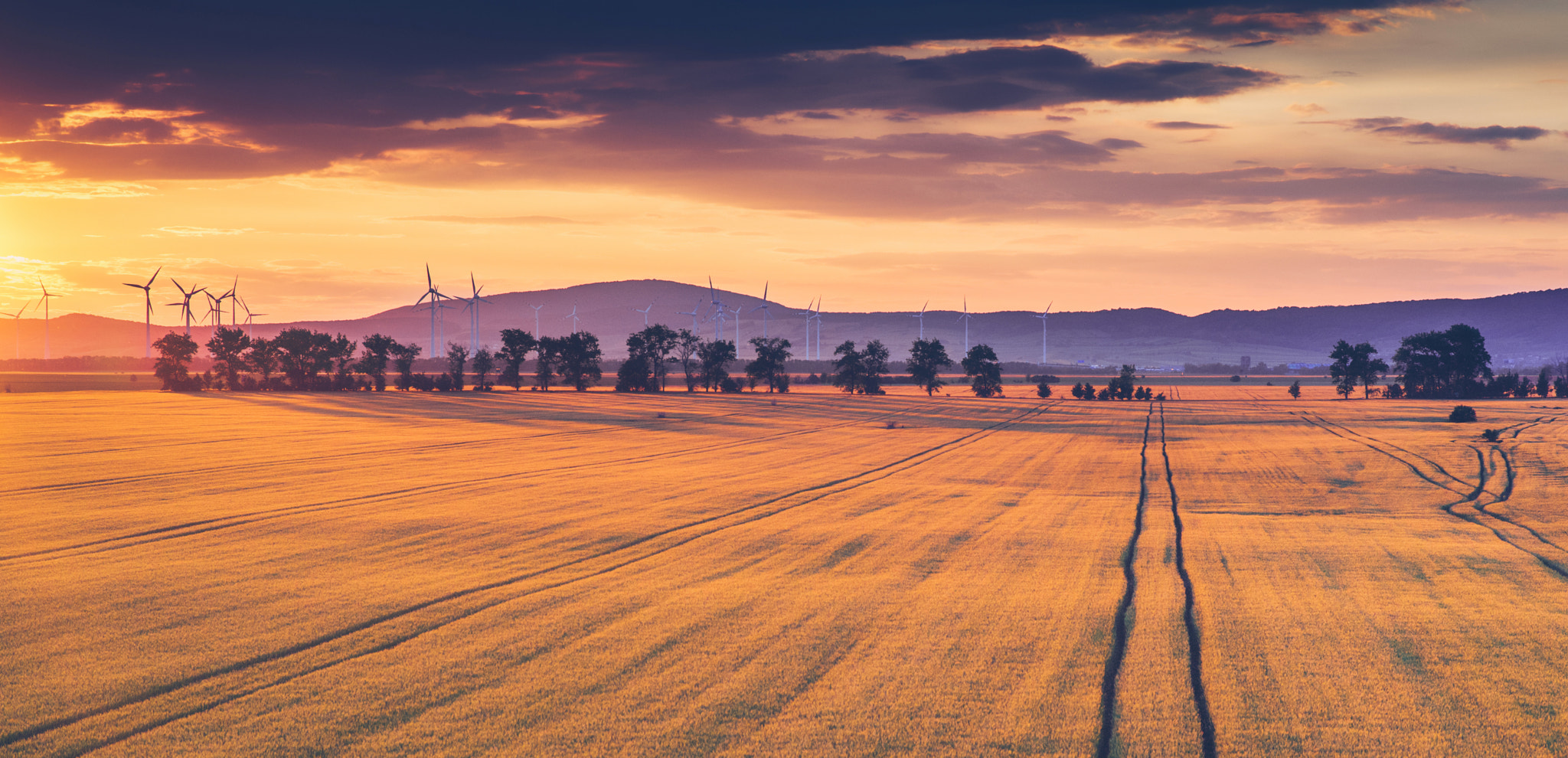 Pentax K-1 Mark II sample photo. Golden field photography