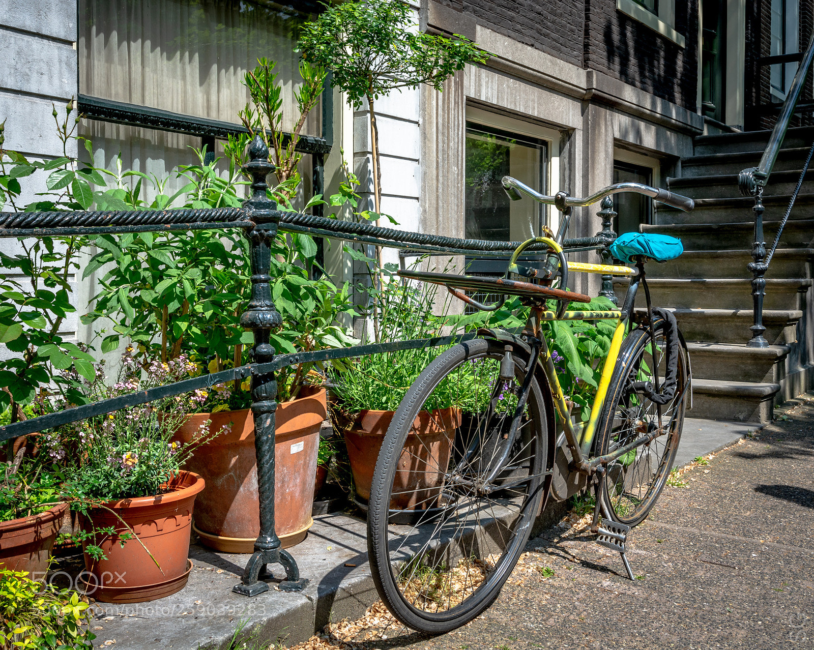 Nikon D7100 sample photo. Yellow bicycle photography