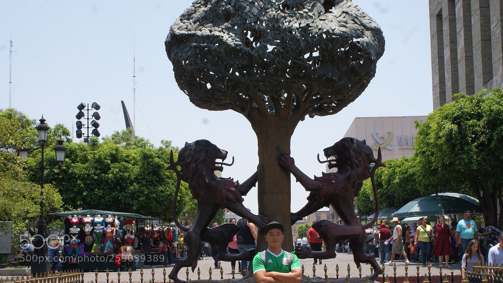 Sony DT 18-70mm F3.5-5.6 sample photo. Chico firme photography