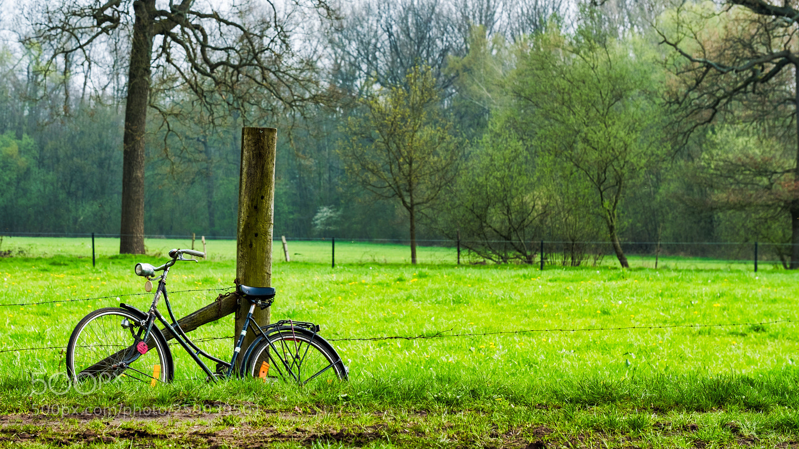 Fujifilm X-T2 sample photo. Bicycle photography