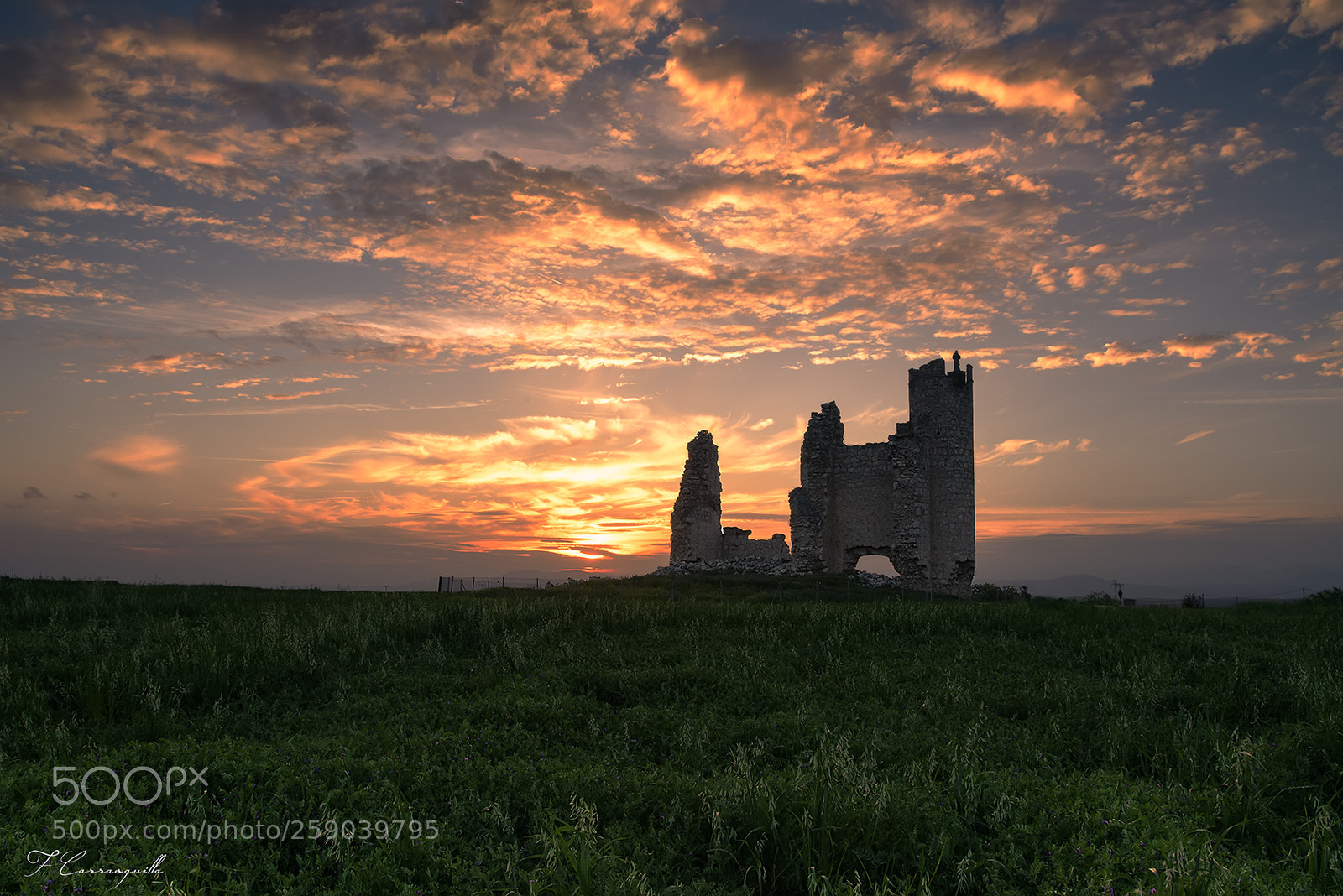 Nikon D750 sample photo. Sunset without poppies photography