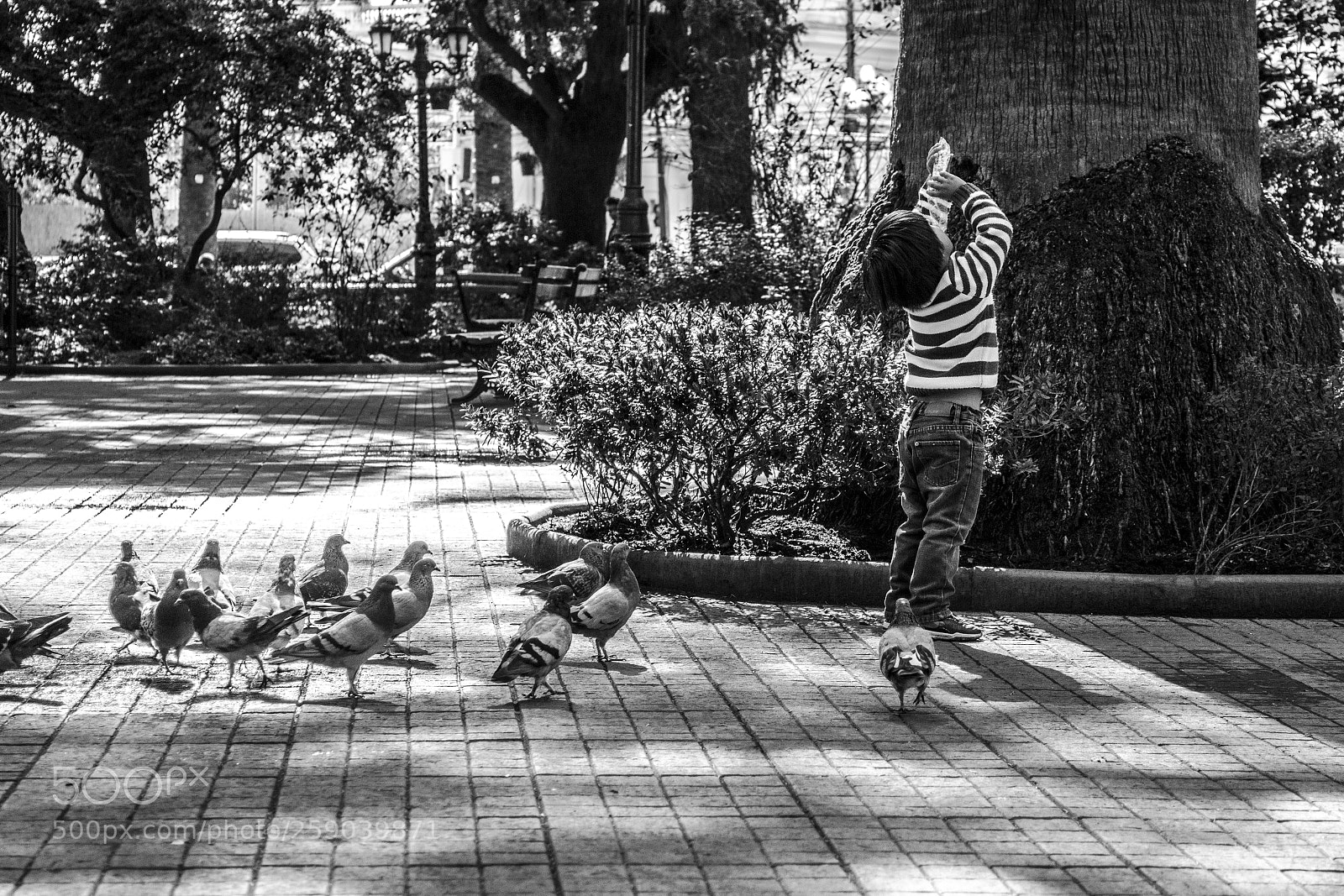 Canon EOS 60D sample photo. Curicó photography