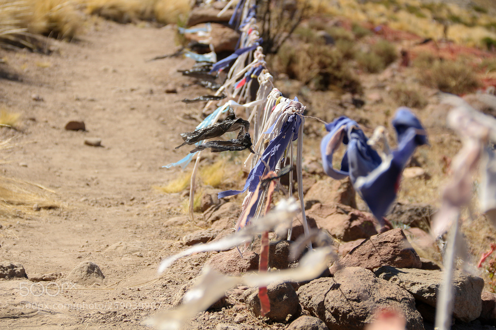 Canon EOS 650D (EOS Rebel T4i / EOS Kiss X6i) sample photo. Bolivia photography