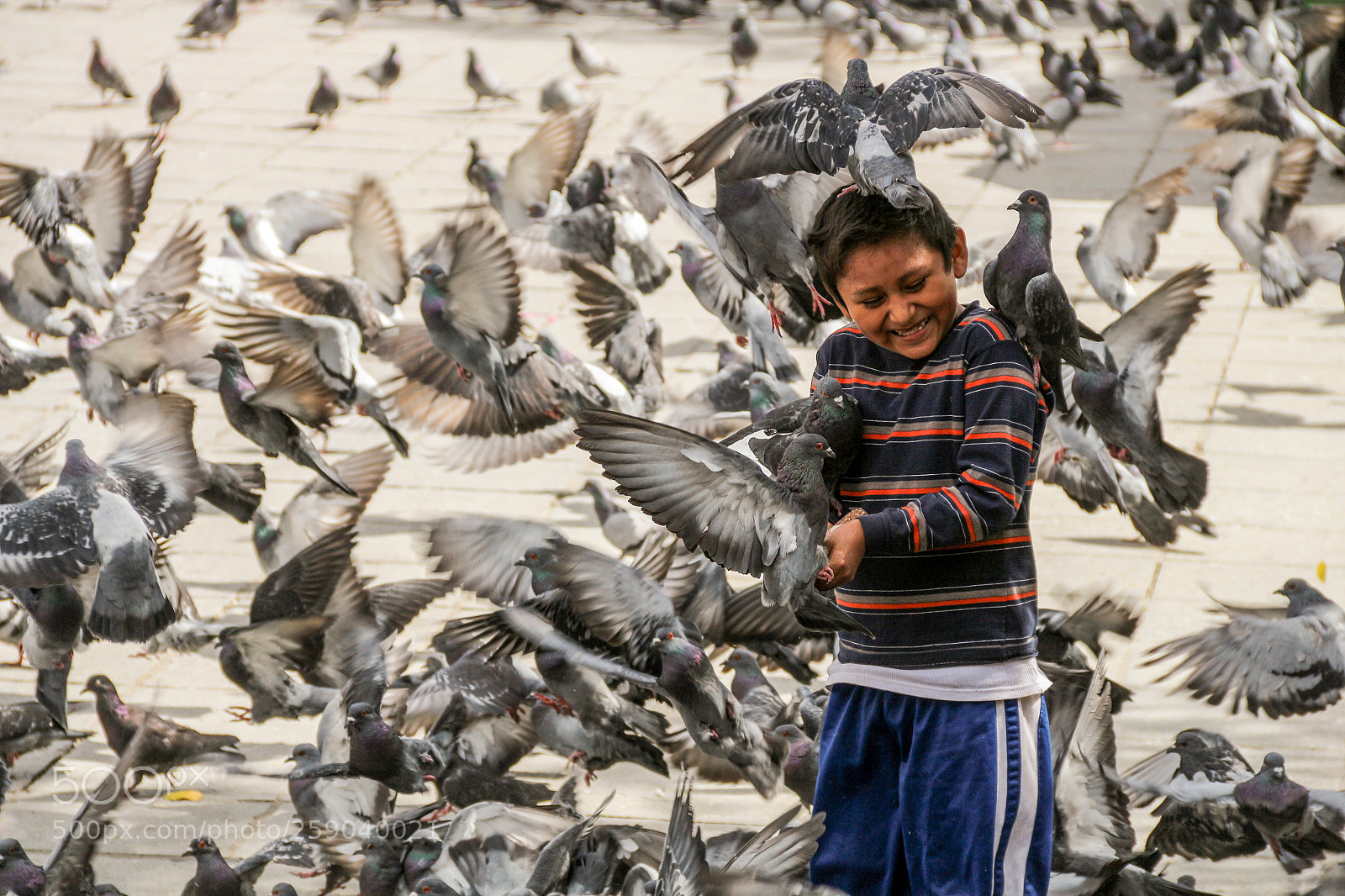 Canon EOS 650D (EOS Rebel T4i / EOS Kiss X6i) sample photo. Bolivia photography