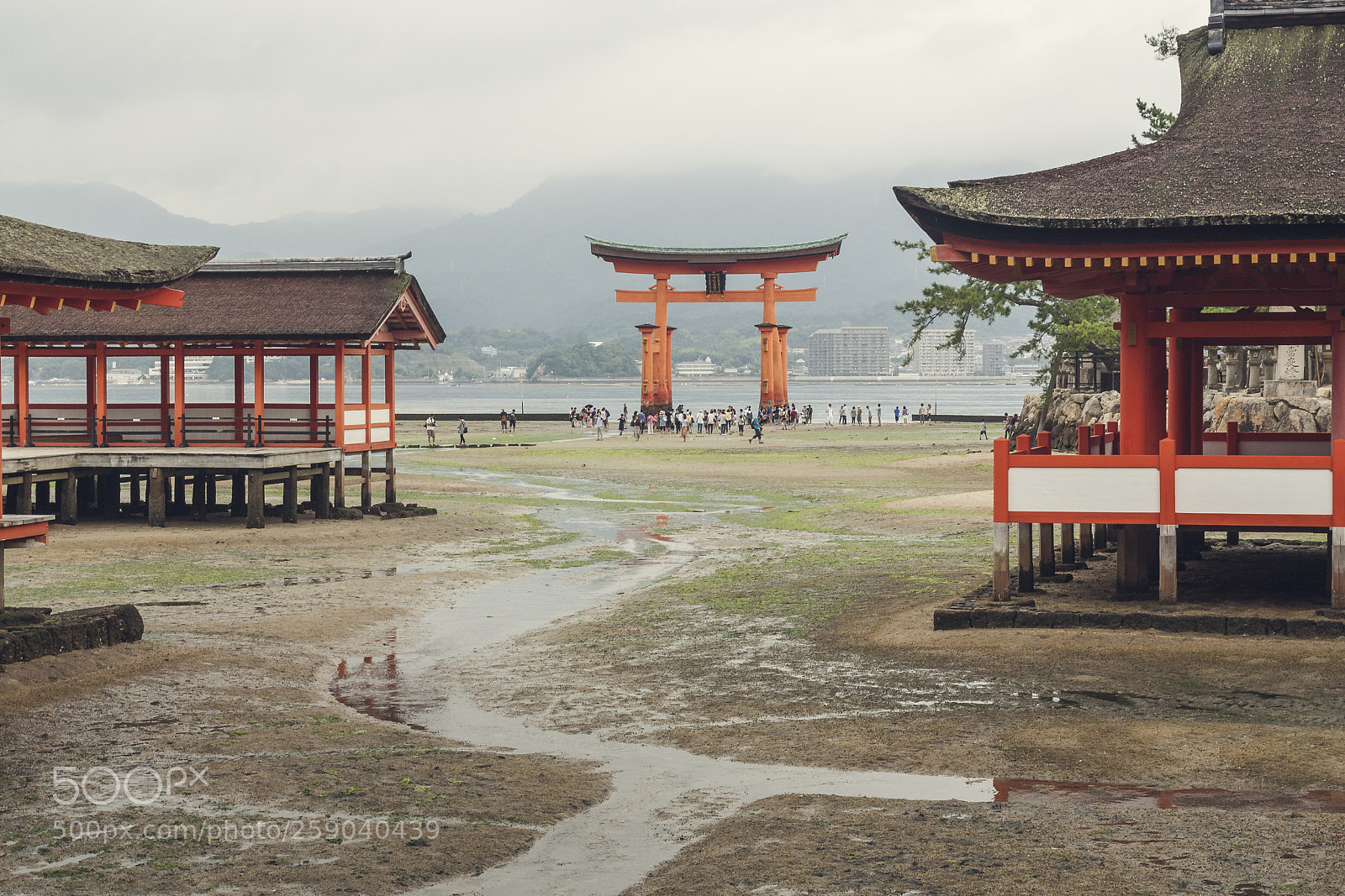 Canon EOS 450D (EOS Rebel XSi / EOS Kiss X2) sample photo. Itsukushima photography