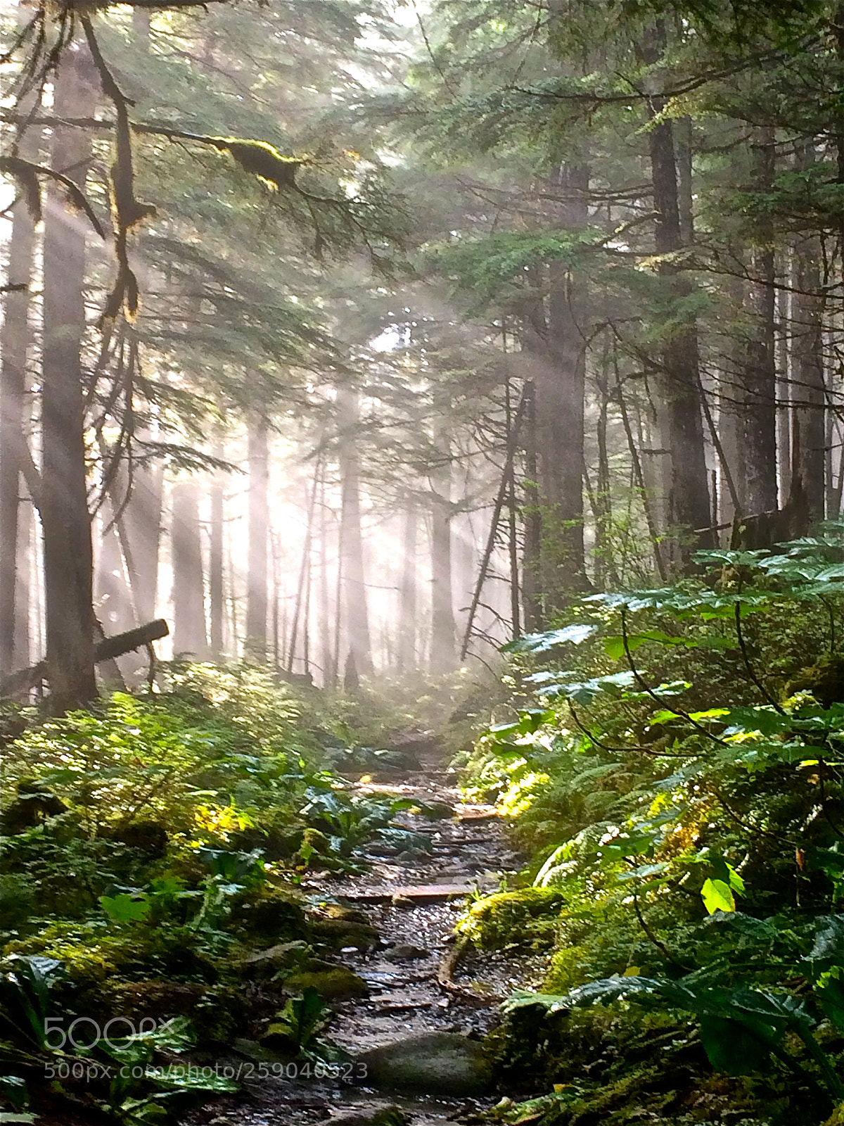 Apple iPhone 5s sample photo. Heavenly hike photography
