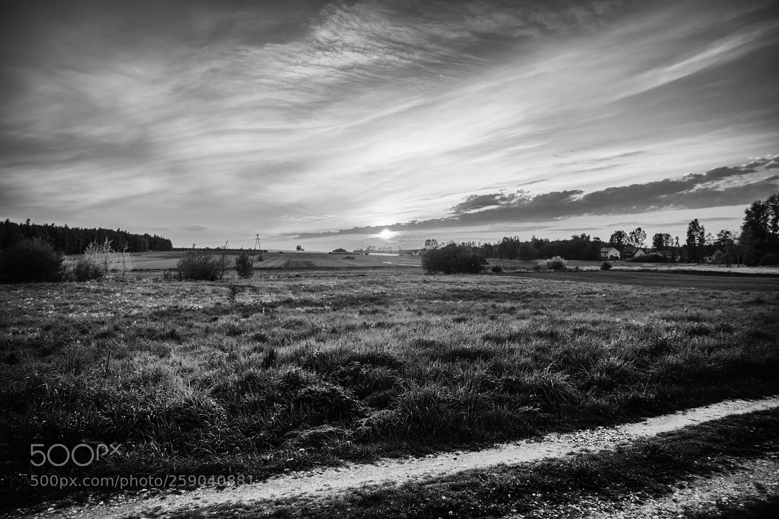 Sony SLT-A68 sample photo. B/w sunset photography