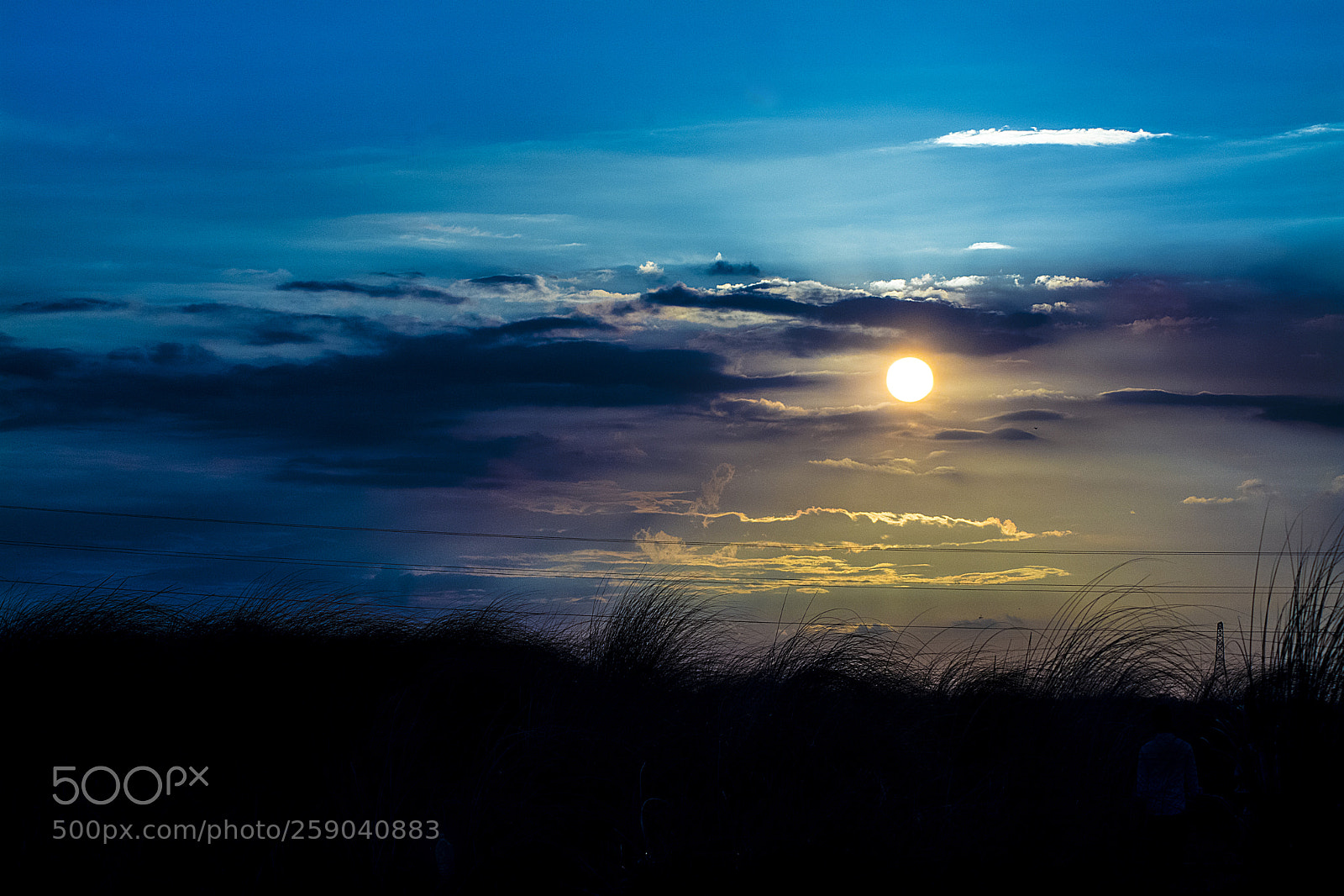 Nikon D7100 sample photo. Blue photography