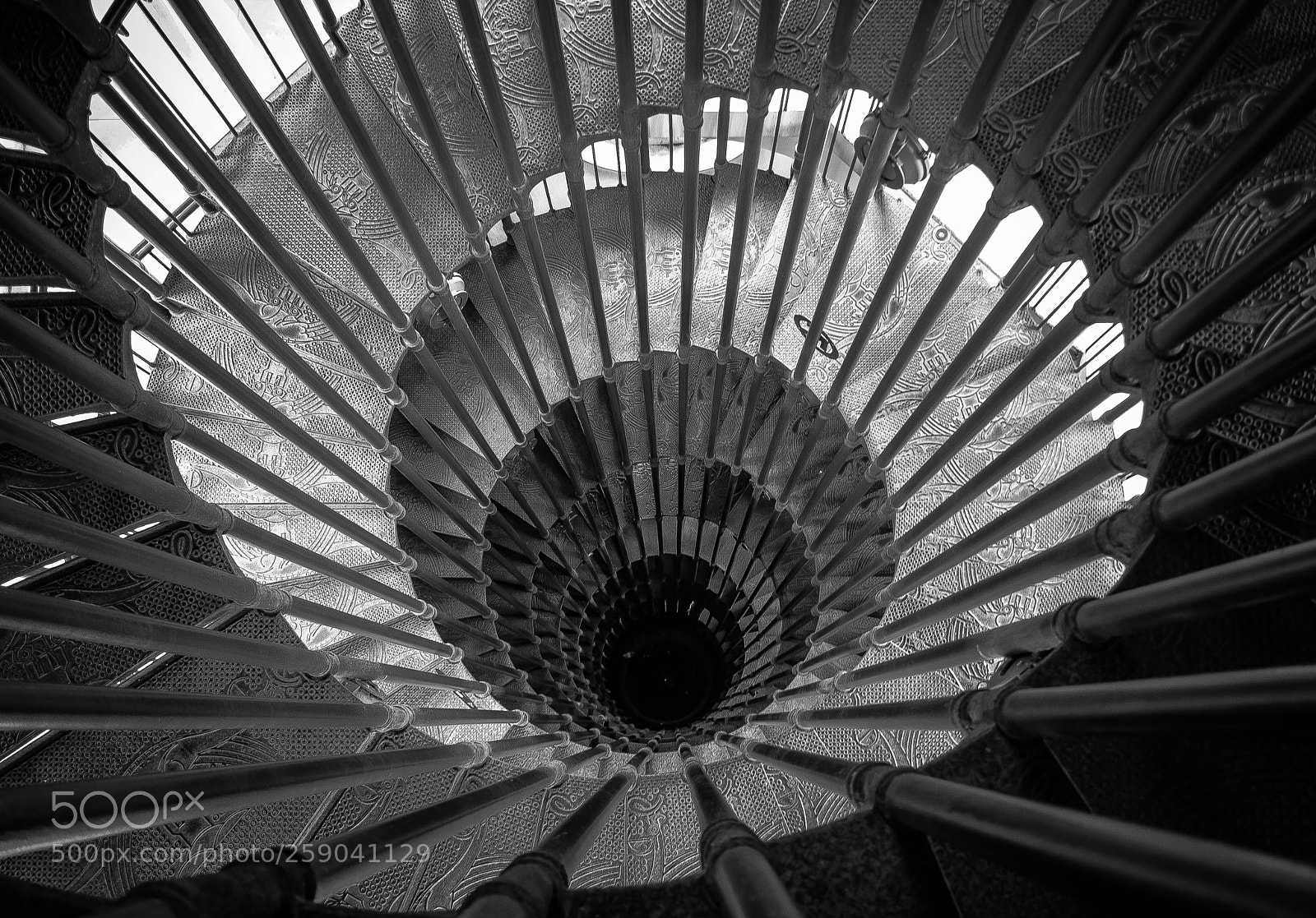Nikon D3100 sample photo. Fibonacci photography