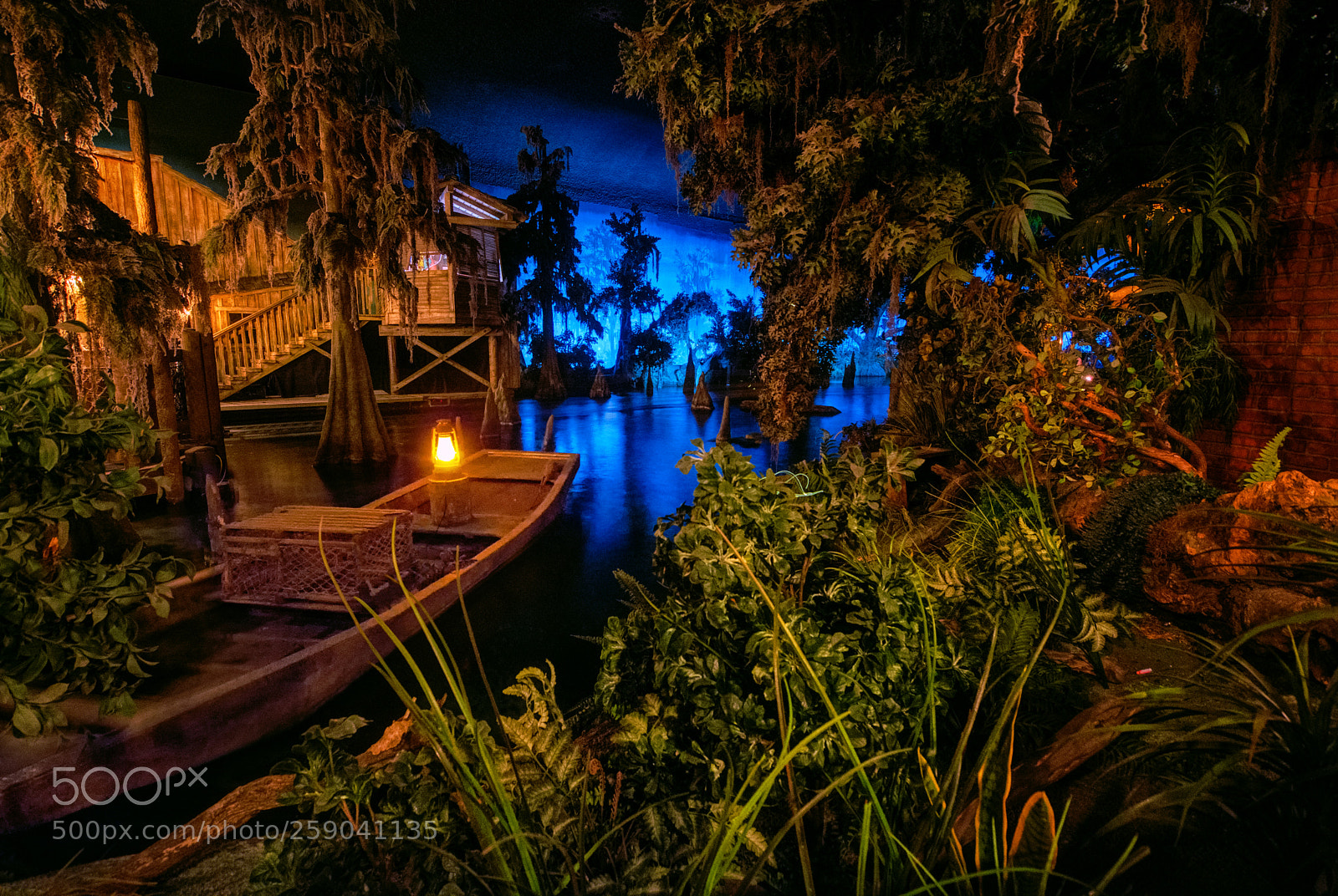 Nikon D7100 sample photo. The quiet bayou photography