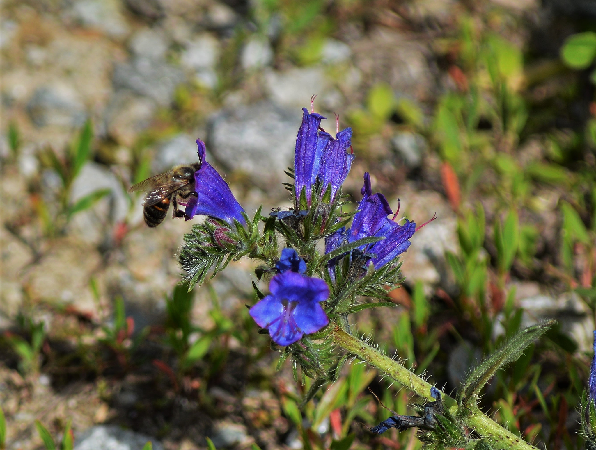 Nikon D3200 sample photo