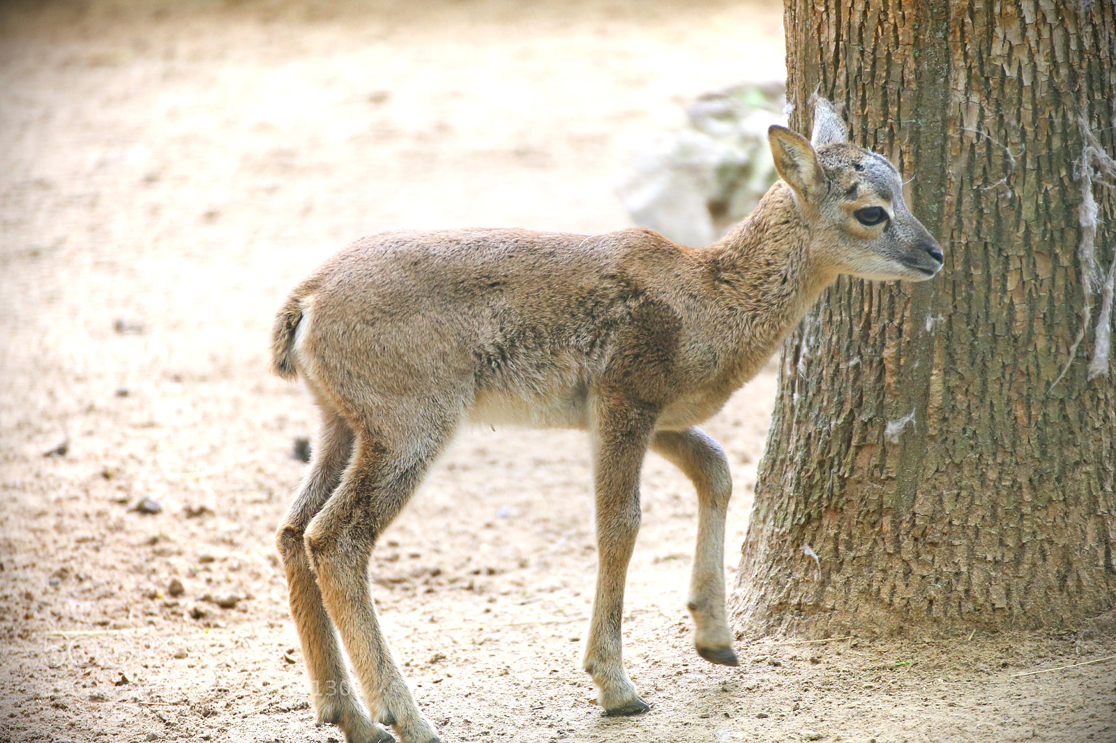 Canon EOS 6D sample photo. Kid photography