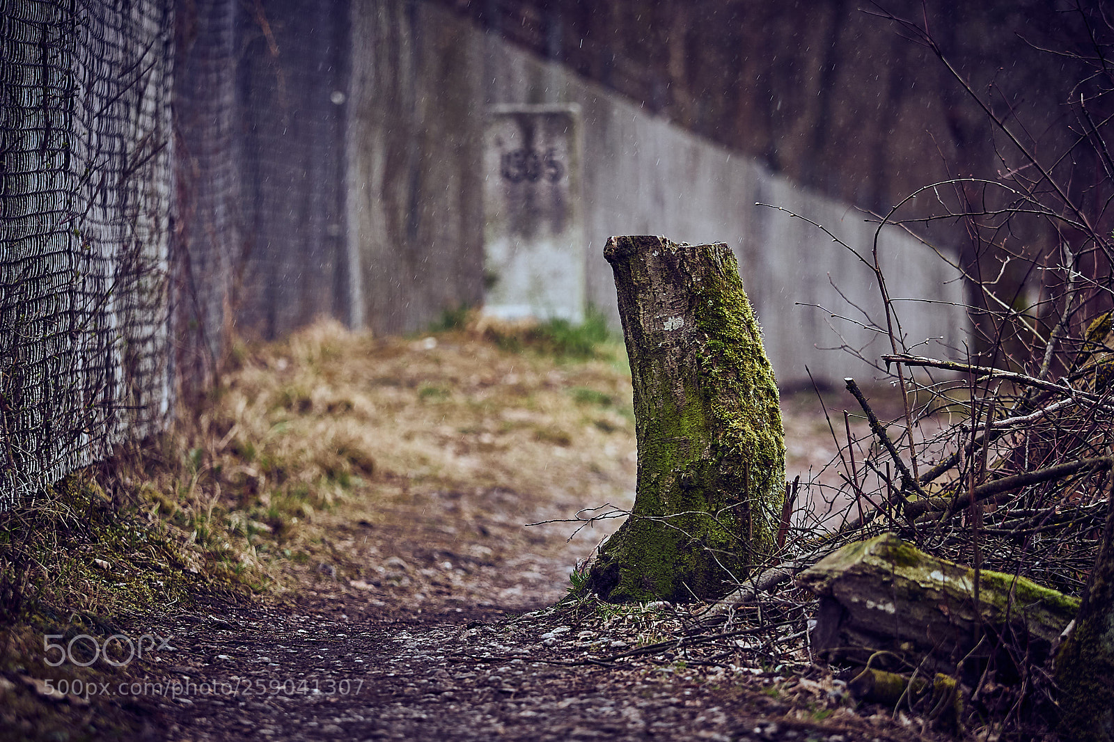 Olympus OM-D E-M1 sample photo. Es war einmal ein photography