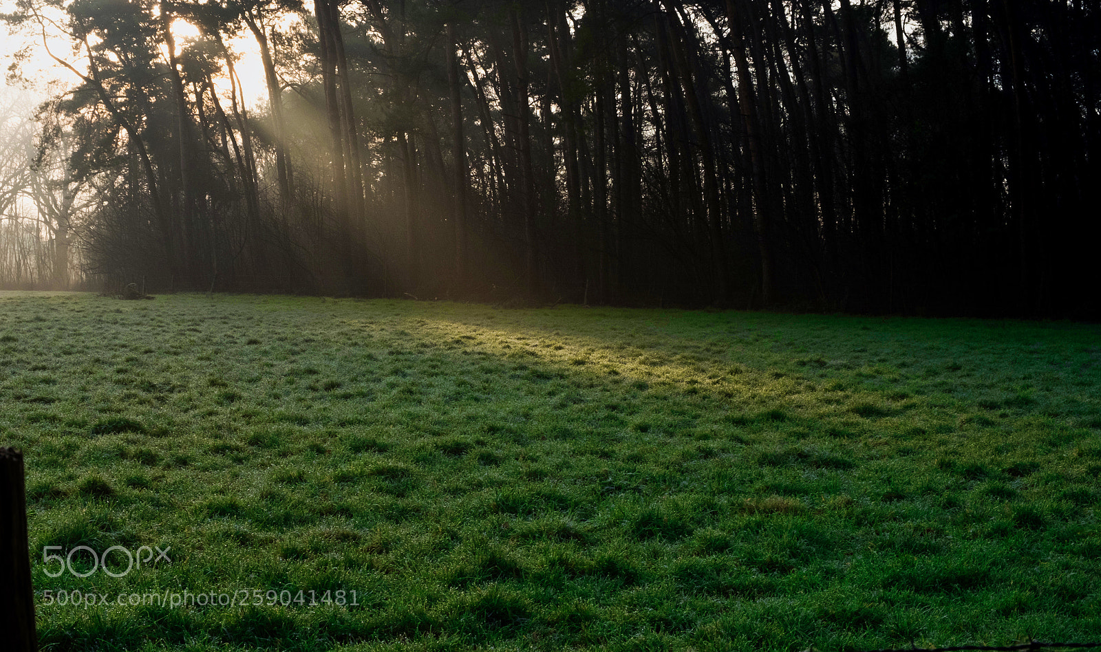 Fujifilm X-T2 sample photo. Beam photography
