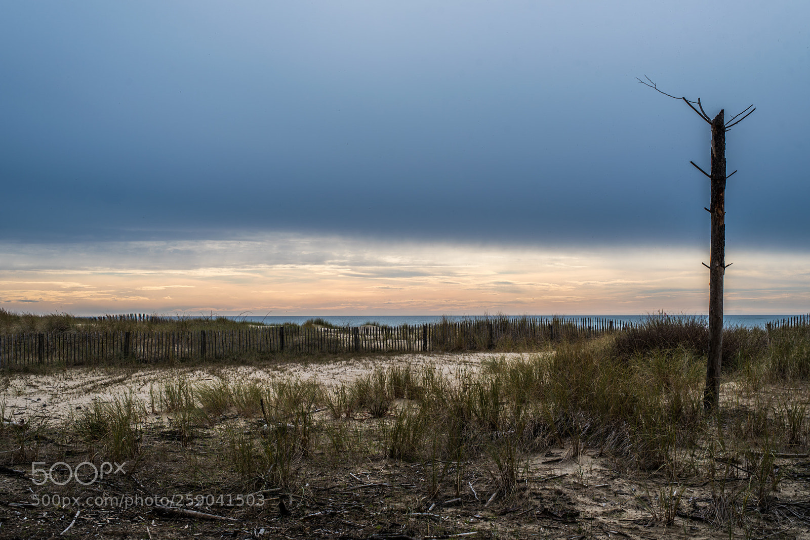 Nikon D750 sample photo. Coucher de soleil sur photography