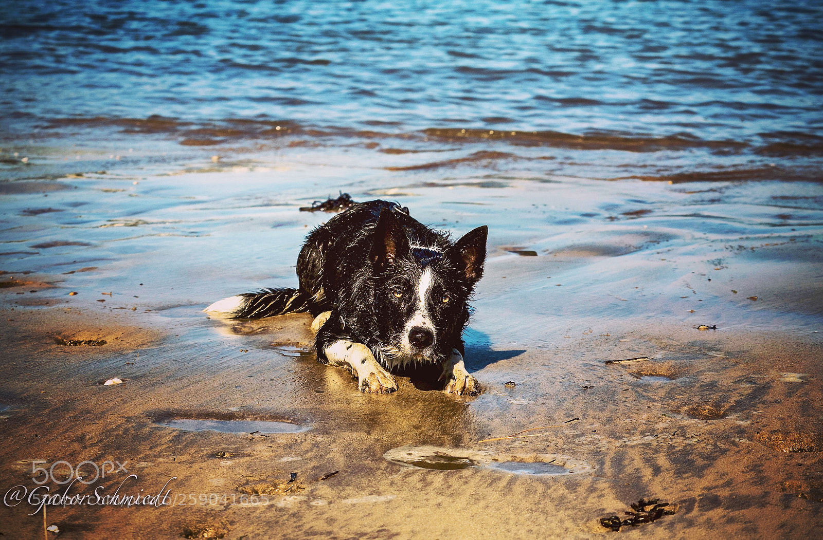 Olympus OM-D E-M5 II sample photo. Version 2 photography
