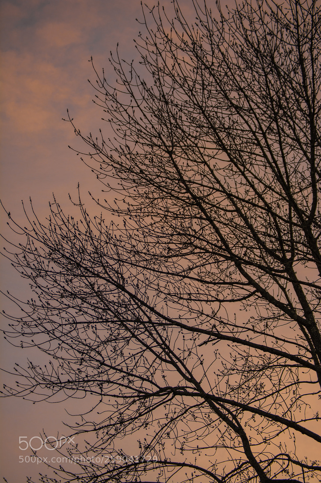 Nikon D5200 sample photo. Colors of sunset photography