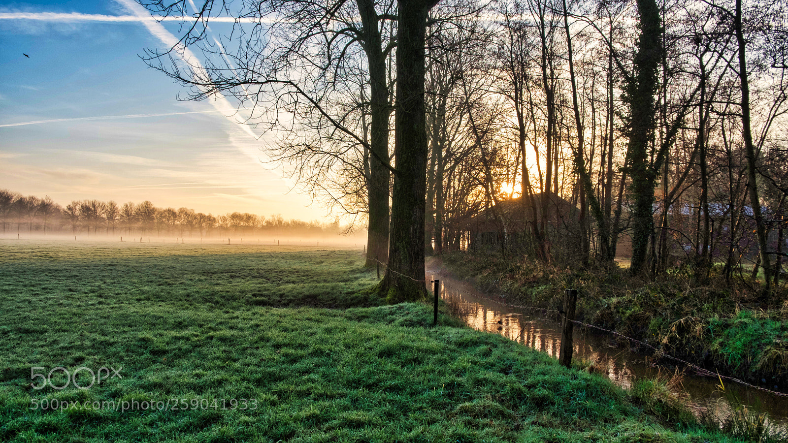 Fujifilm X-T2 sample photo. Mistbruinbeek photography