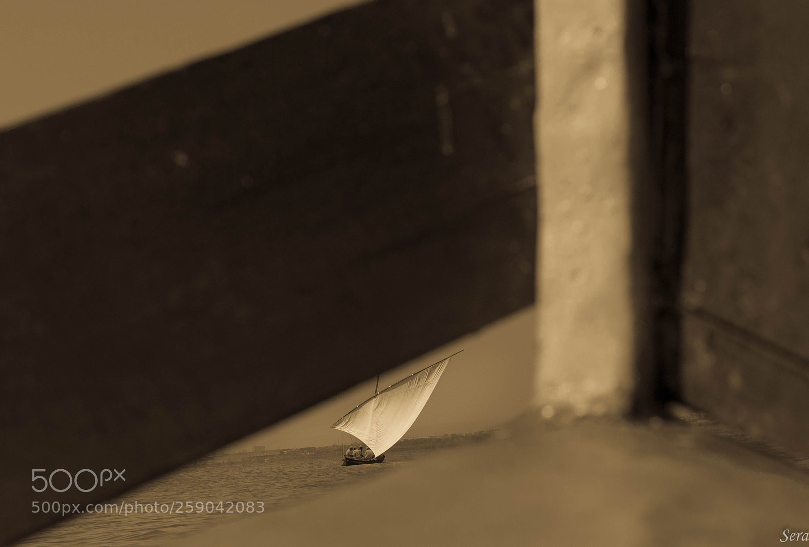 Nikon D90 sample photo. Buscando photography
