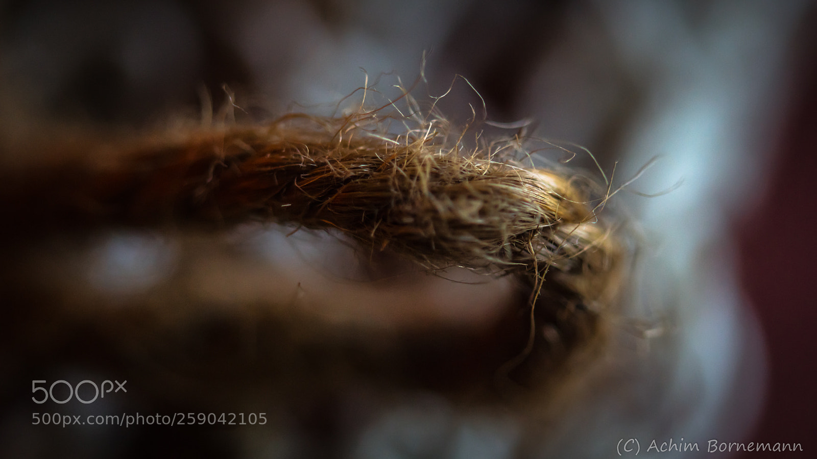 Sony SLT-A68 sample photo. Rope photography