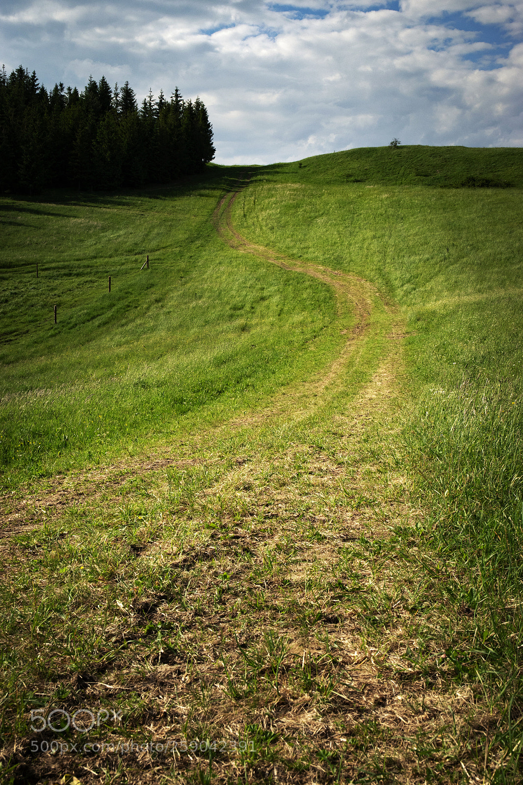 Nikon D5500 sample photo. The path through the photography