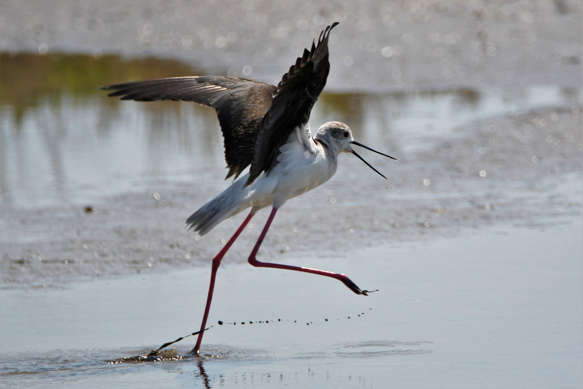 Nikon D7500 sample photo. I am in a hurry!!! photography