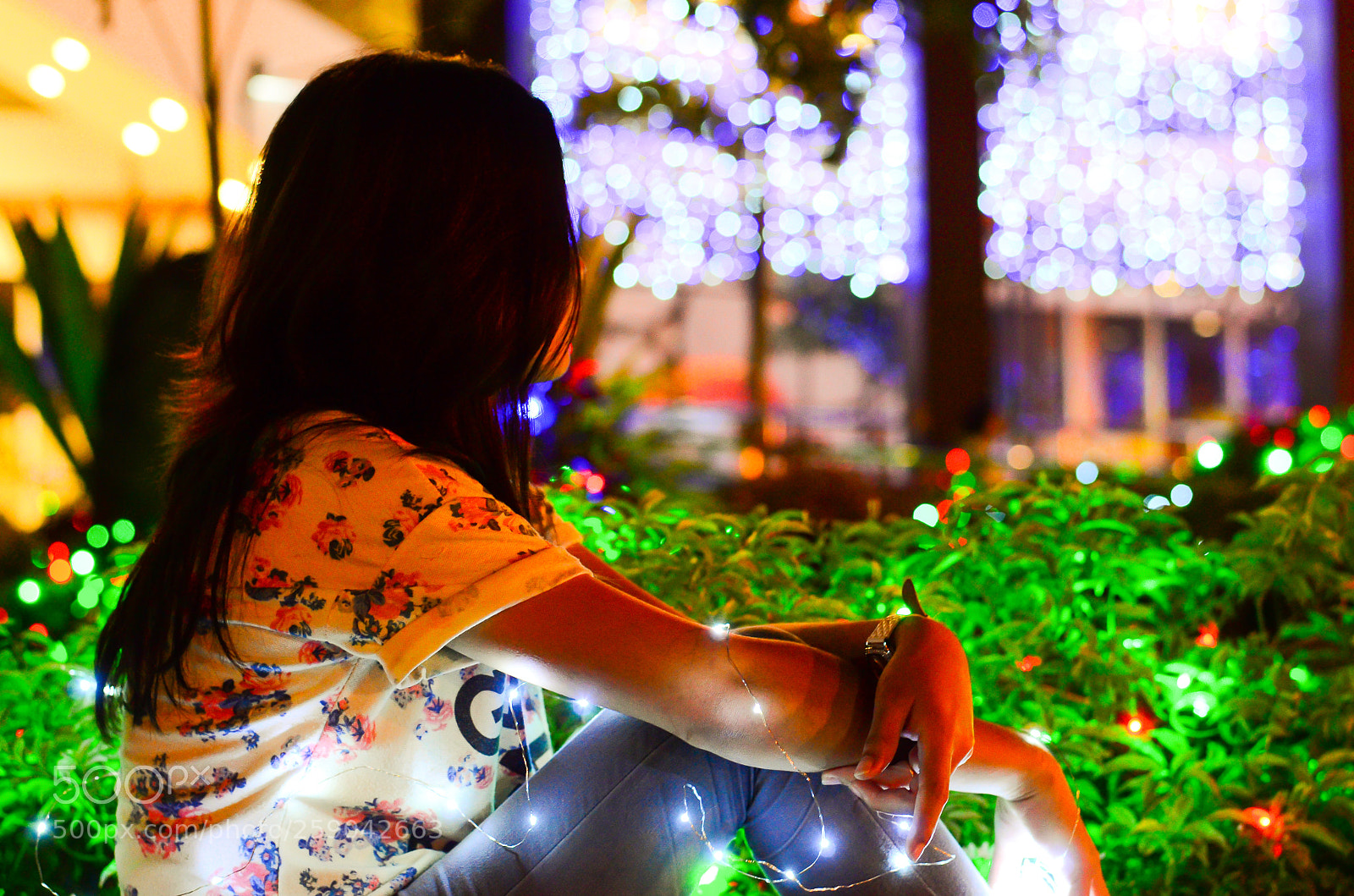 Nikon D5100 sample photo. Lights. photography