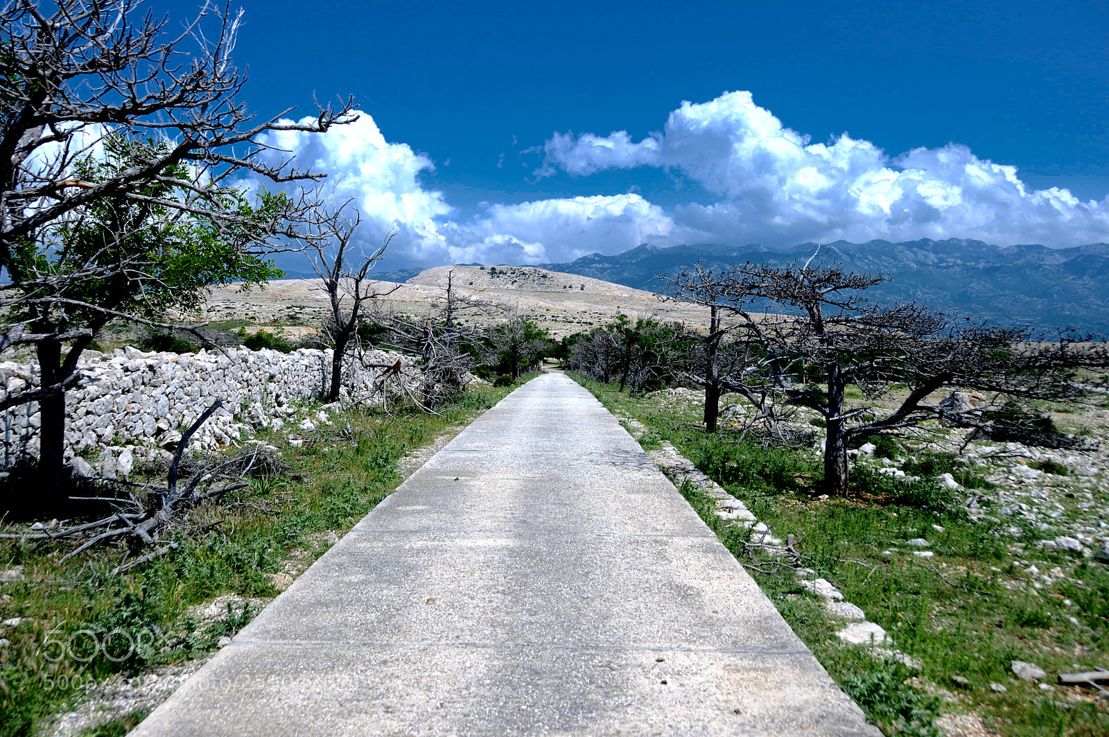 Nikon D300 sample photo. Goli otok photography