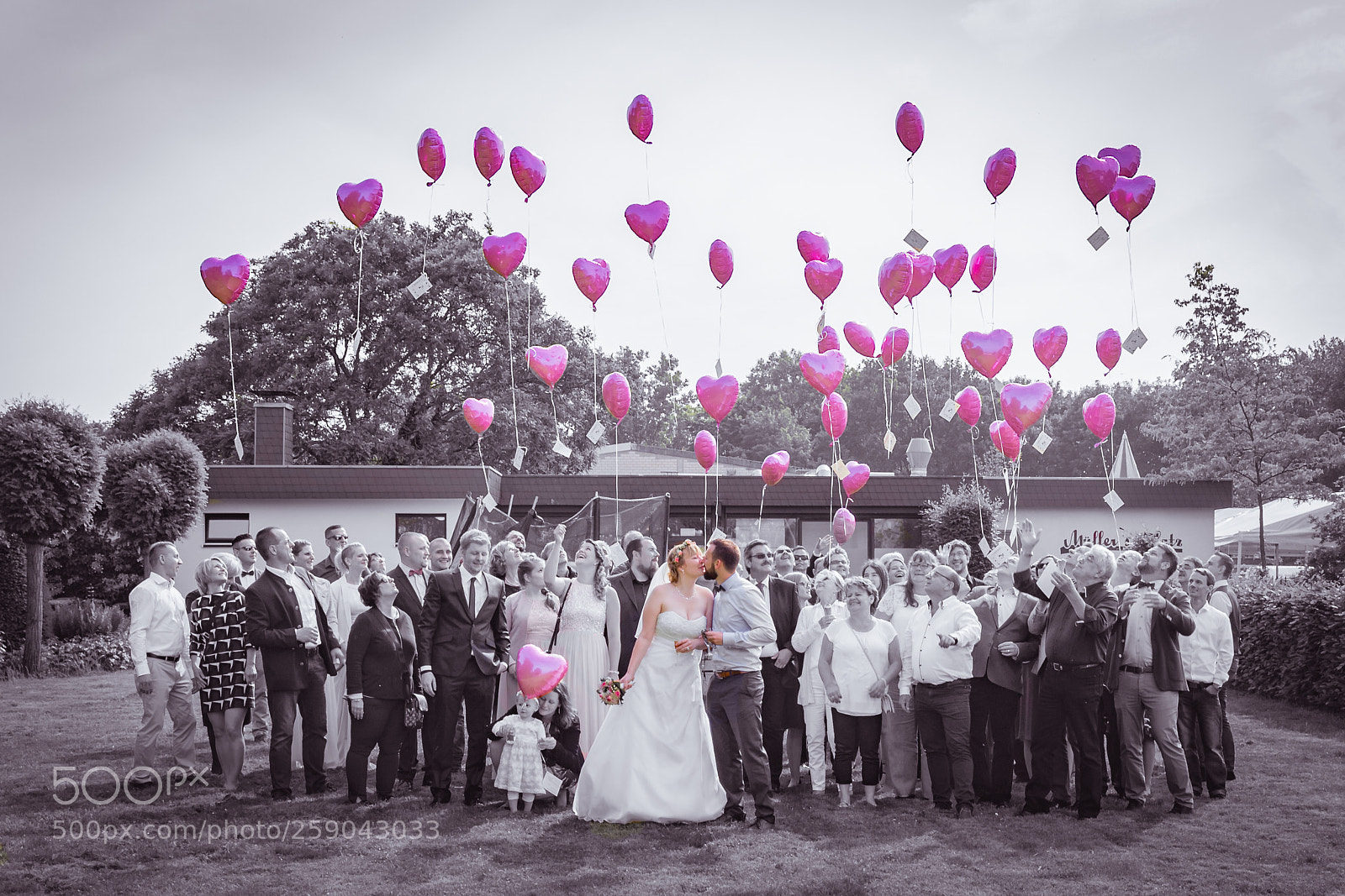 Canon EOS 6D Mark II sample photo. Black white pink photography
