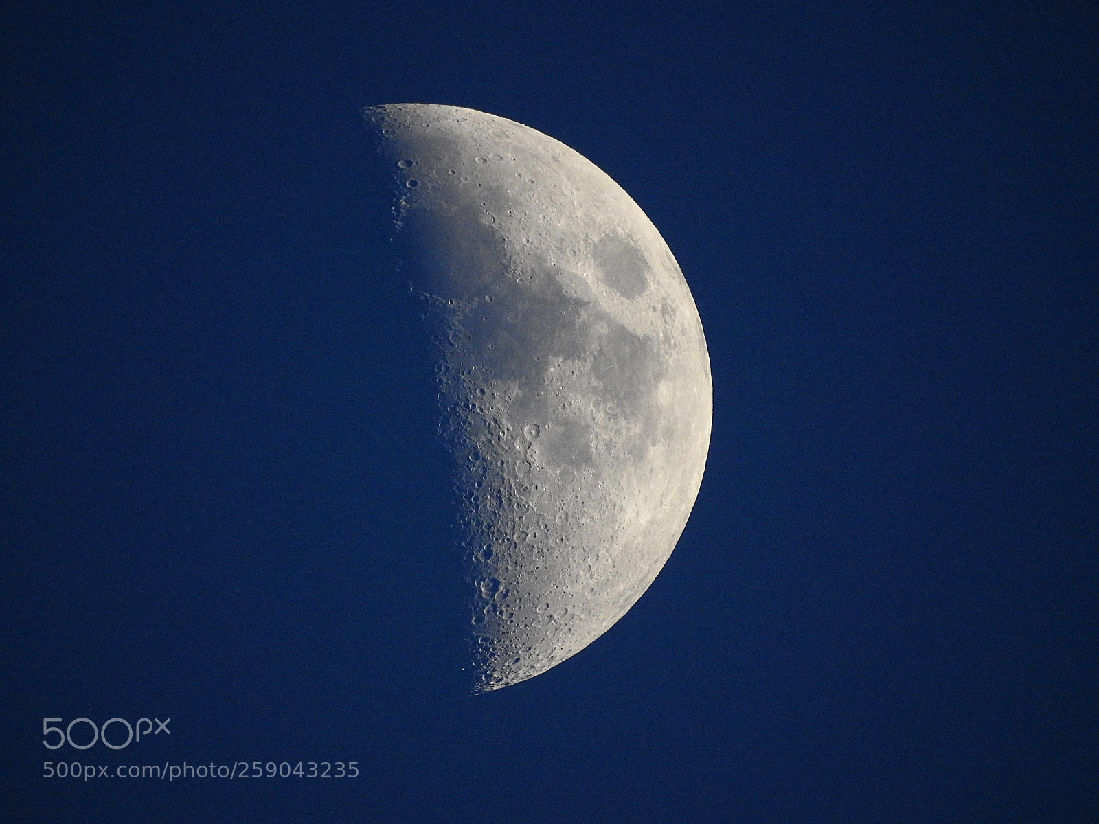 Nikon Coolpix P900 sample photo. Half moon photography