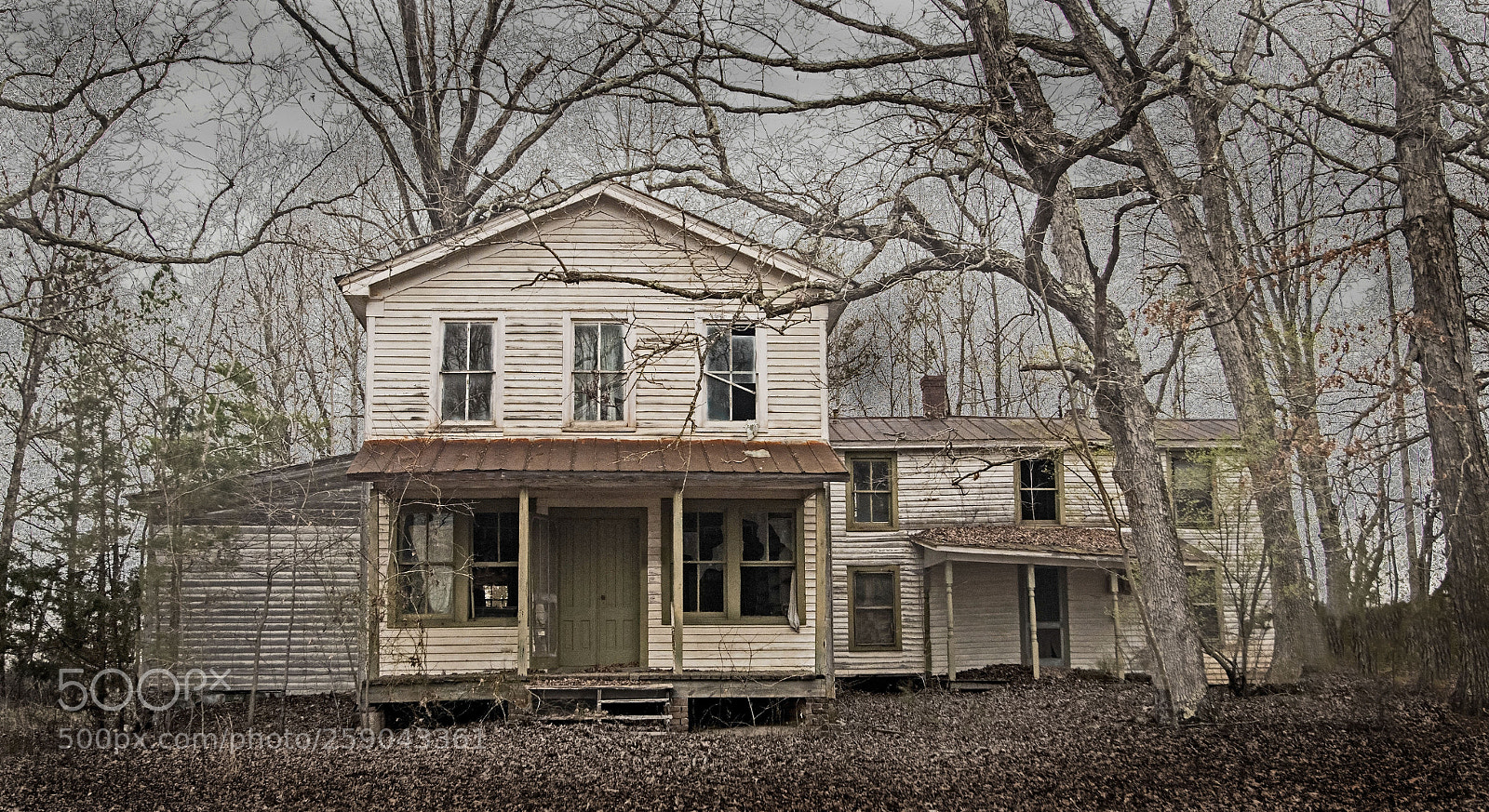 Nikon D500 sample photo. Portraits of ordinary architecture 194 photography