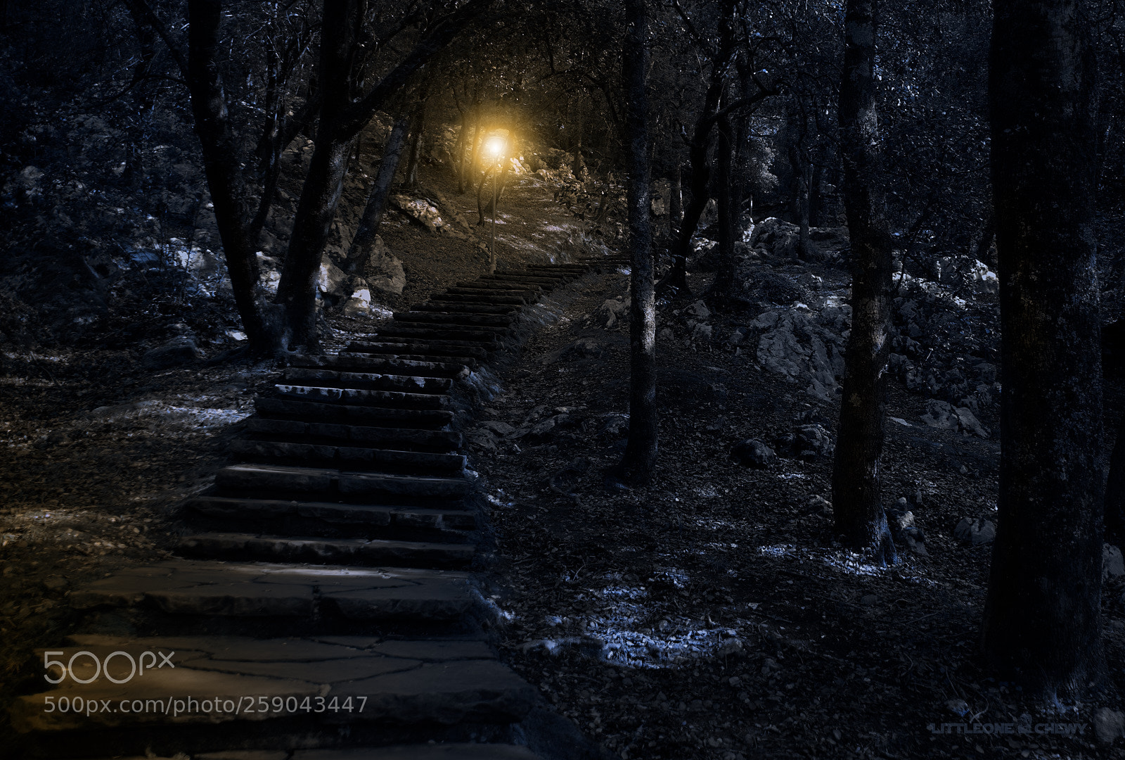 Nikon D5300 sample photo. Into the night photography