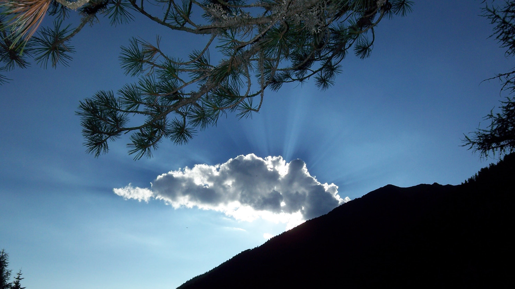 Kodak V705 DUAL LENS DIGITAL CAMERA sample photo. Gloriously blue photography