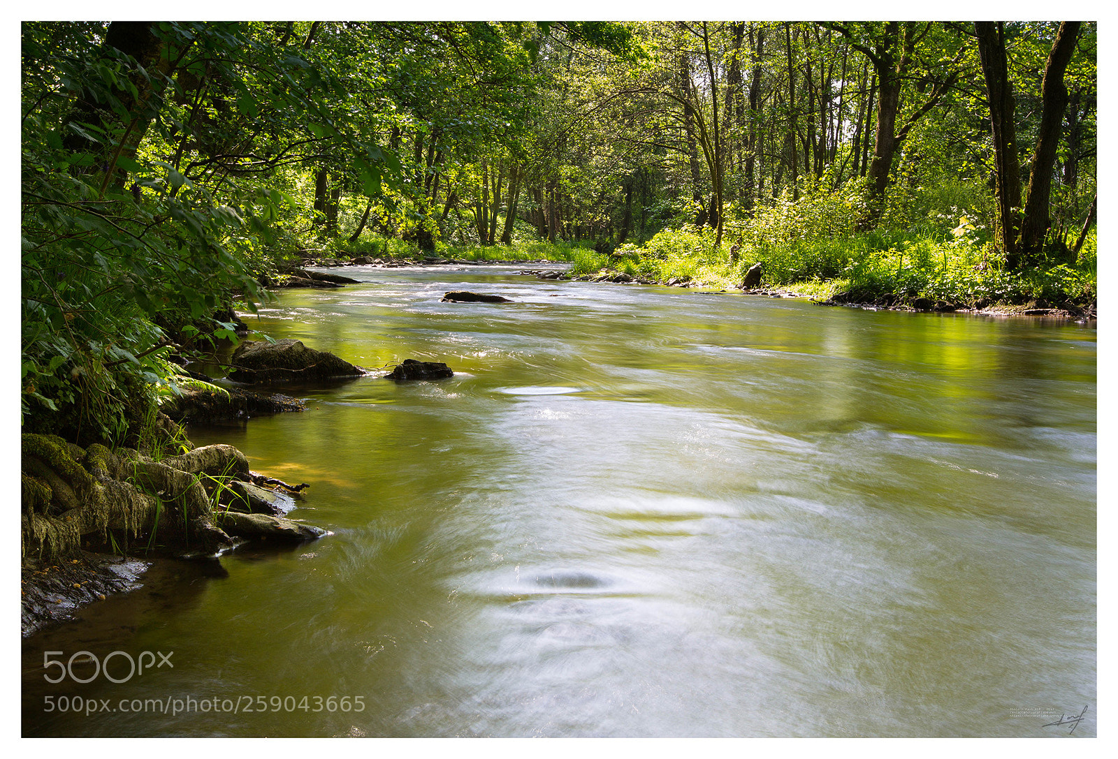 Canon EOS-1D Mark IV sample photo. L'ourthe photography