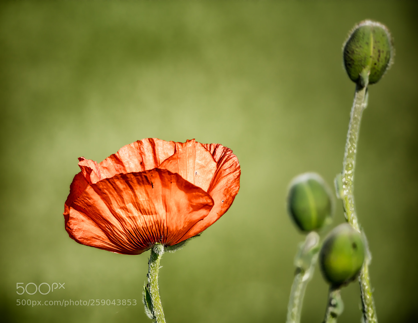 Canon EOS 5DS R sample photo. Handover photography