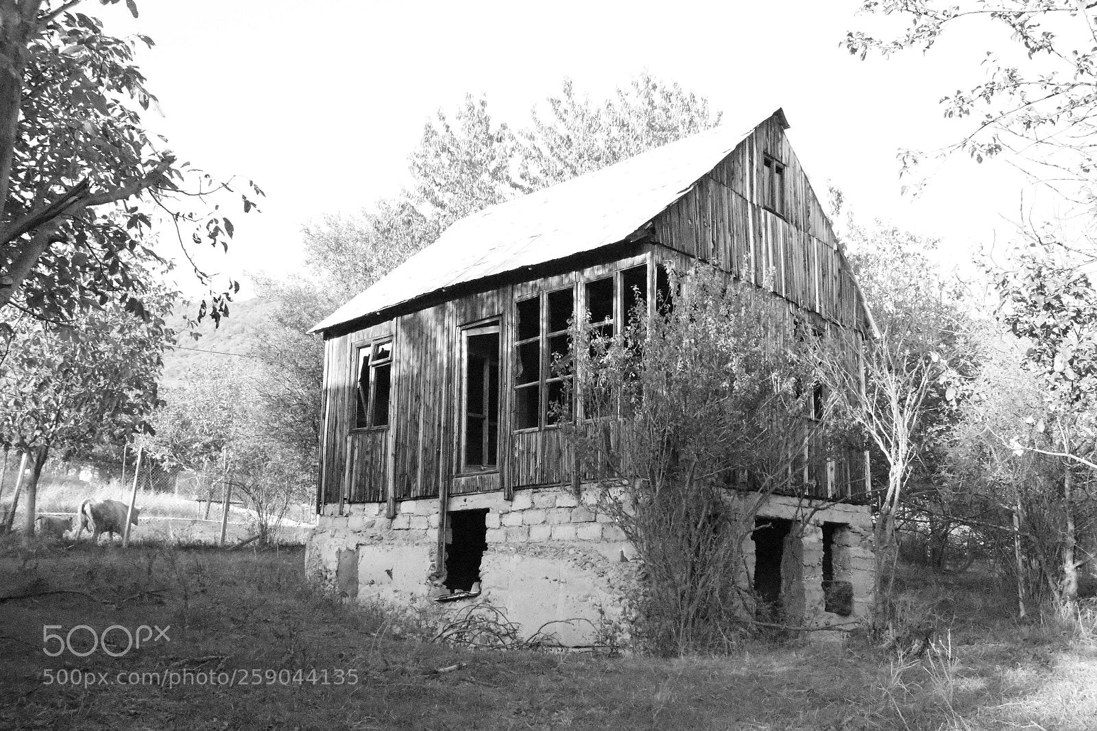 Canon EF-S 18-55mm F3.5-5.6 III sample photo. Old home photography