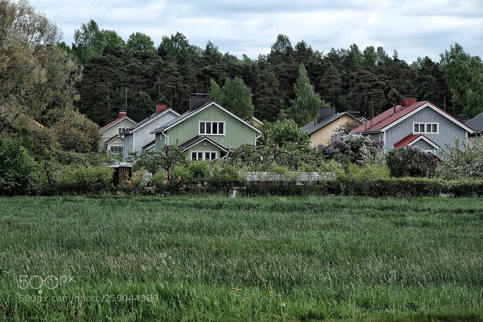 Fujifilm X-H1 sample photo. Fifty shades of green photography