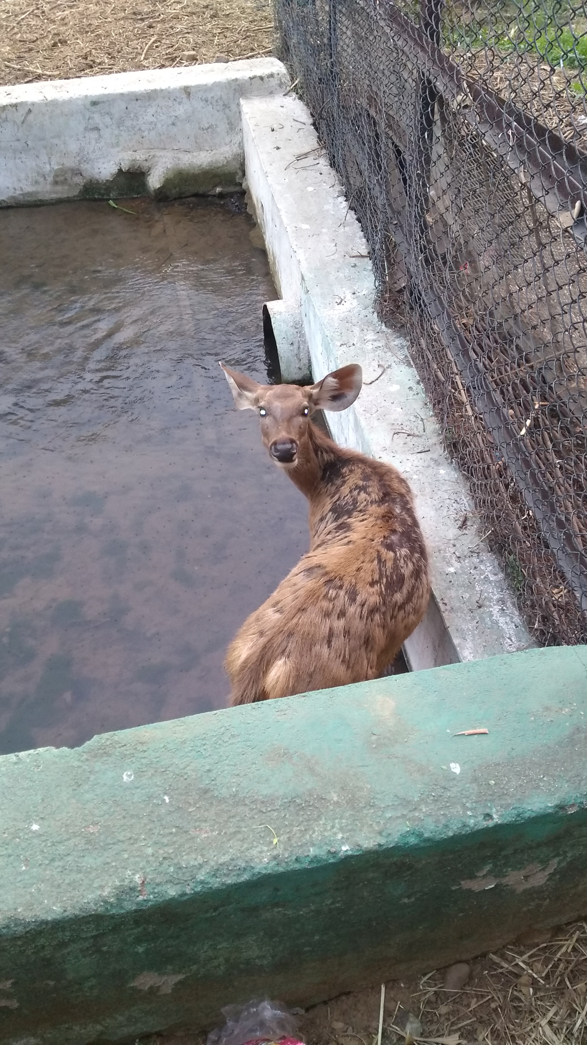 Motorola Moto G (5S) Plus sample photo