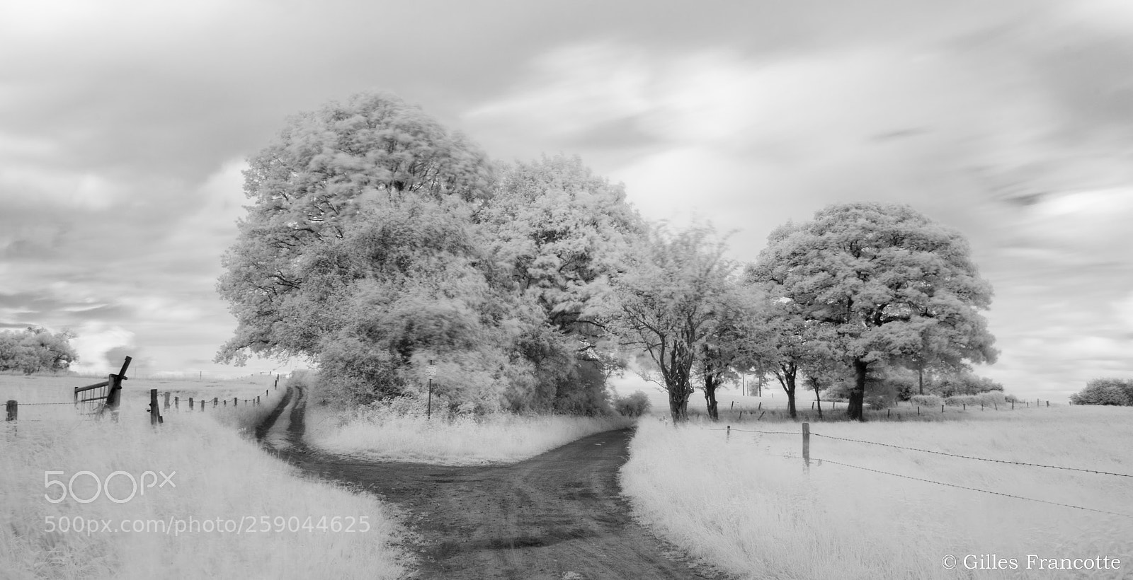 Nikon D800 sample photo. Crossroads photography
