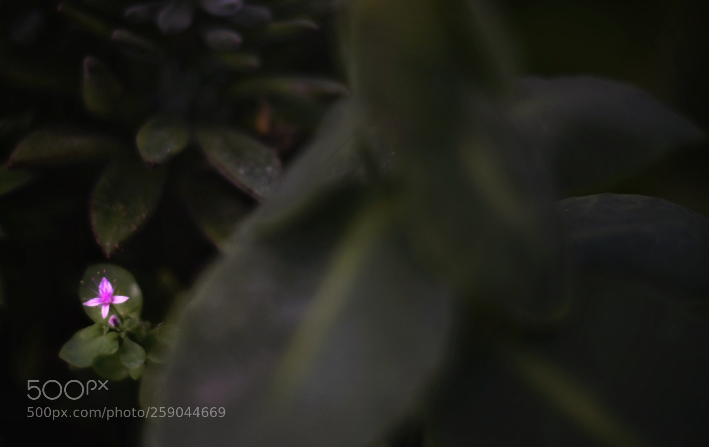 Nikon D5300 sample photo. Fenómeno natural. photography