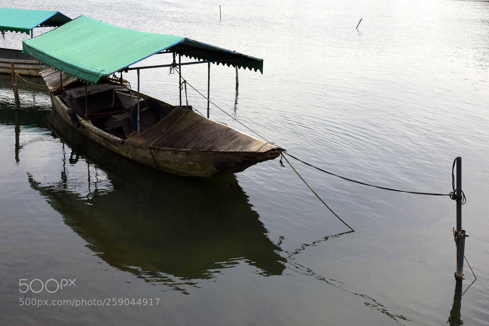 Nikon D810 sample photo. Only the lonely  photography