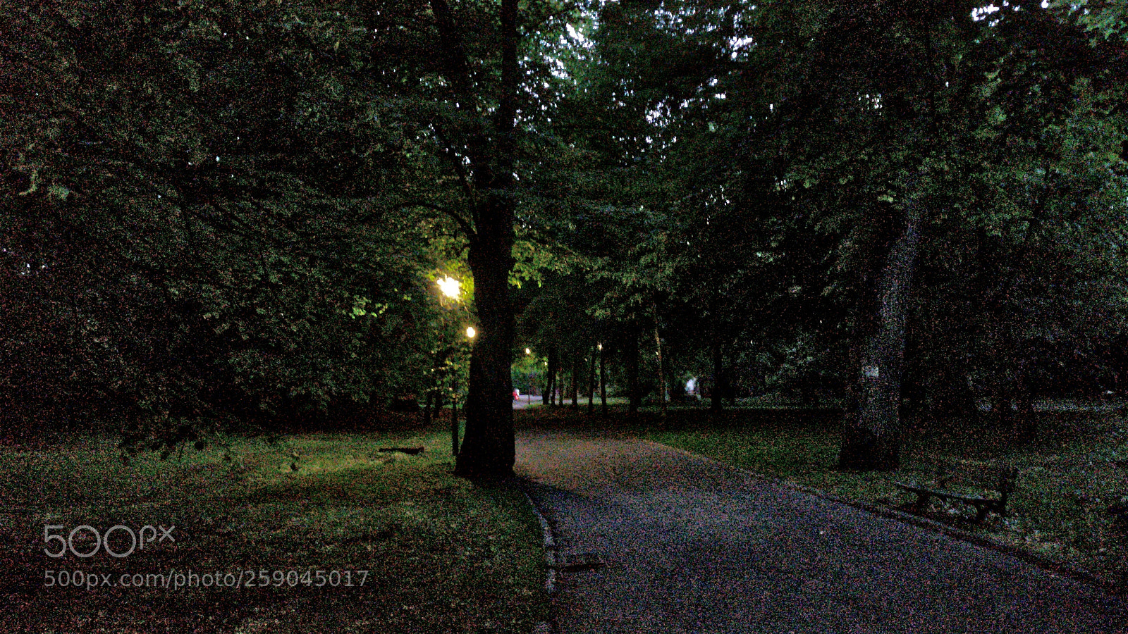 Samsung Galaxy S5 sample photo. Wieczór photography
