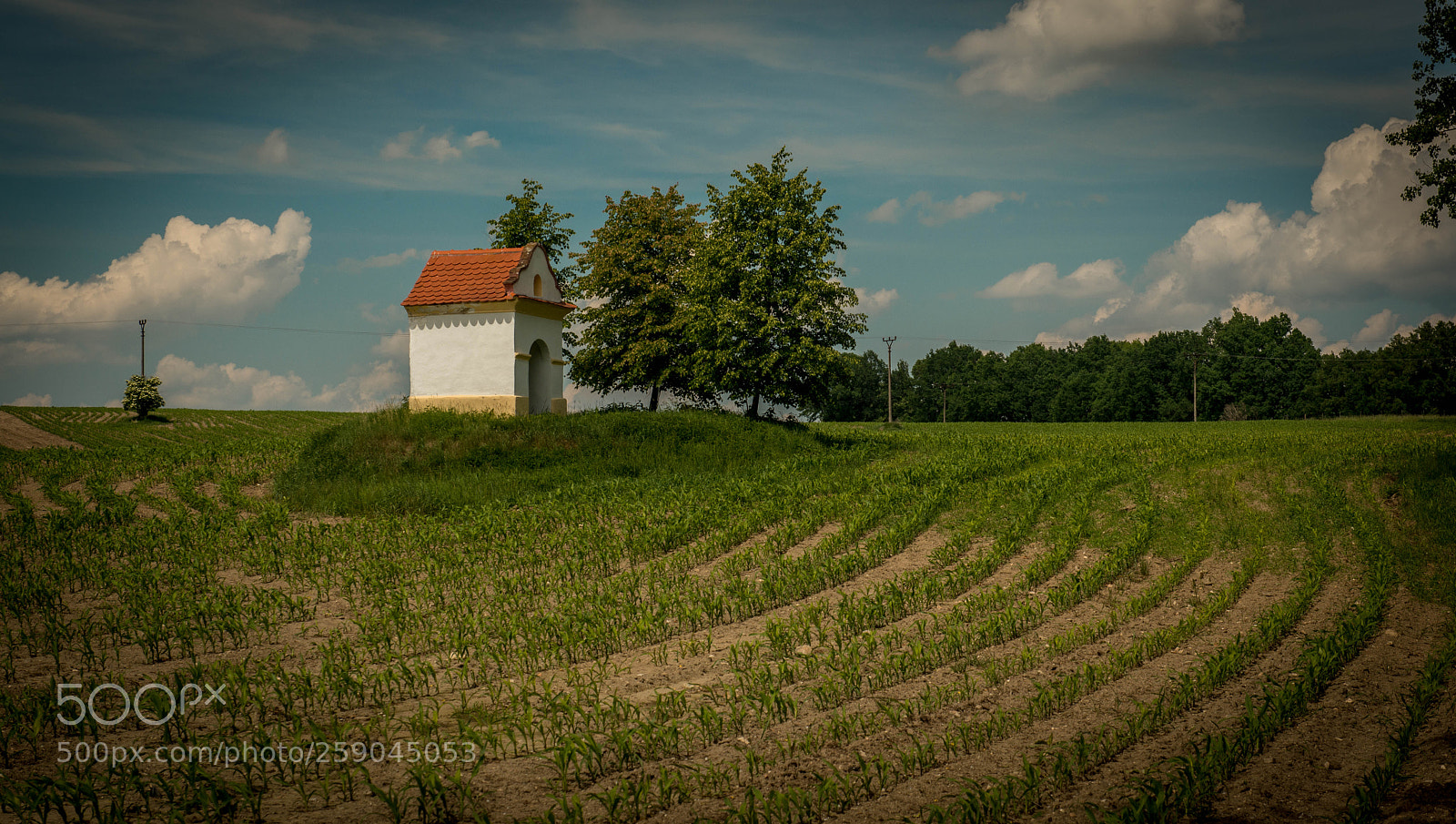 Nikon D800 sample photo. Kaplička photography